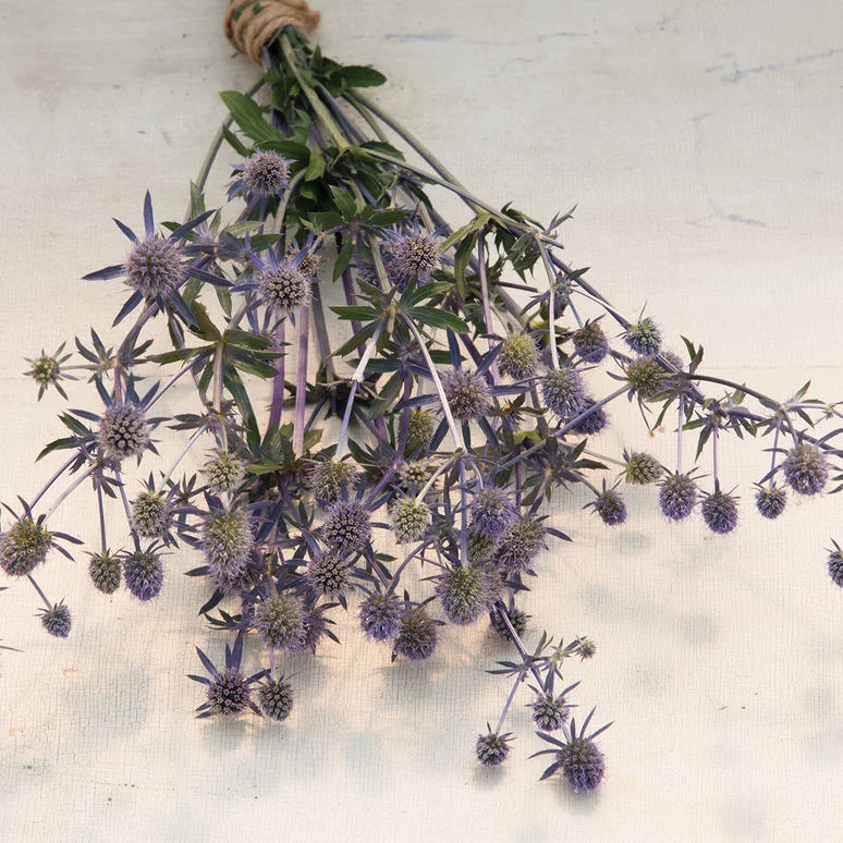 fireside farm_diy flower bucket_eryngium blue glitter.jpg