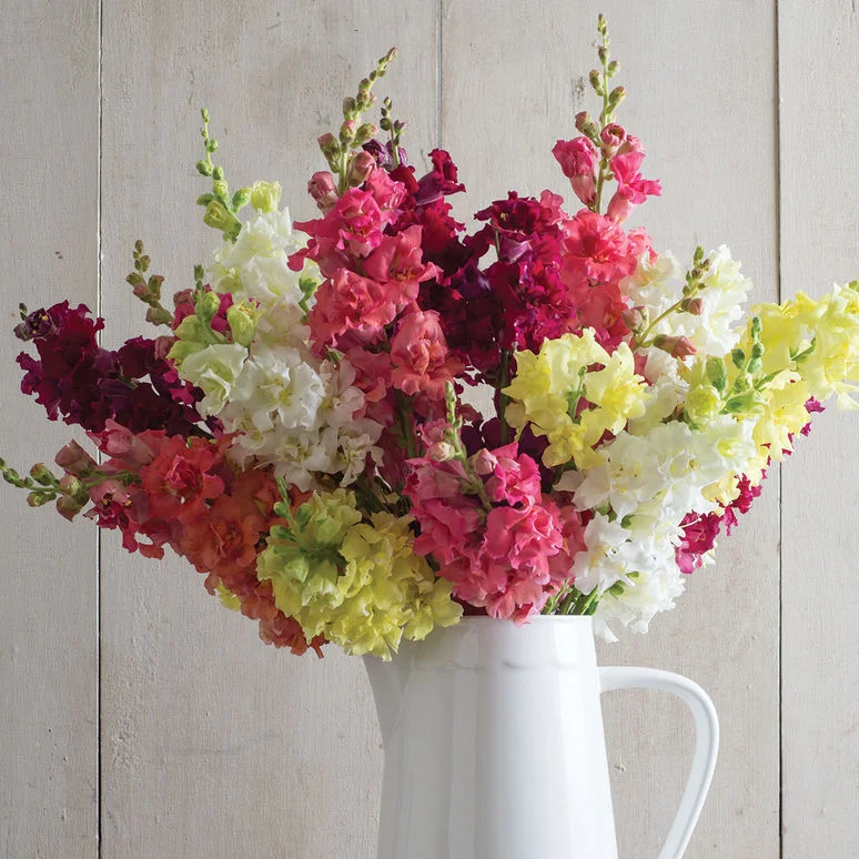 fireside farm_diy flower bucket_madame butterfly snapdragon.jpg