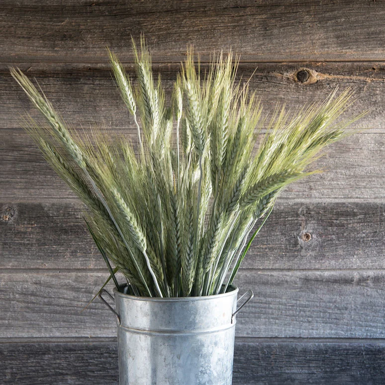 fireside farm_diy flower bucket_silver tip ornamental grass.jpg