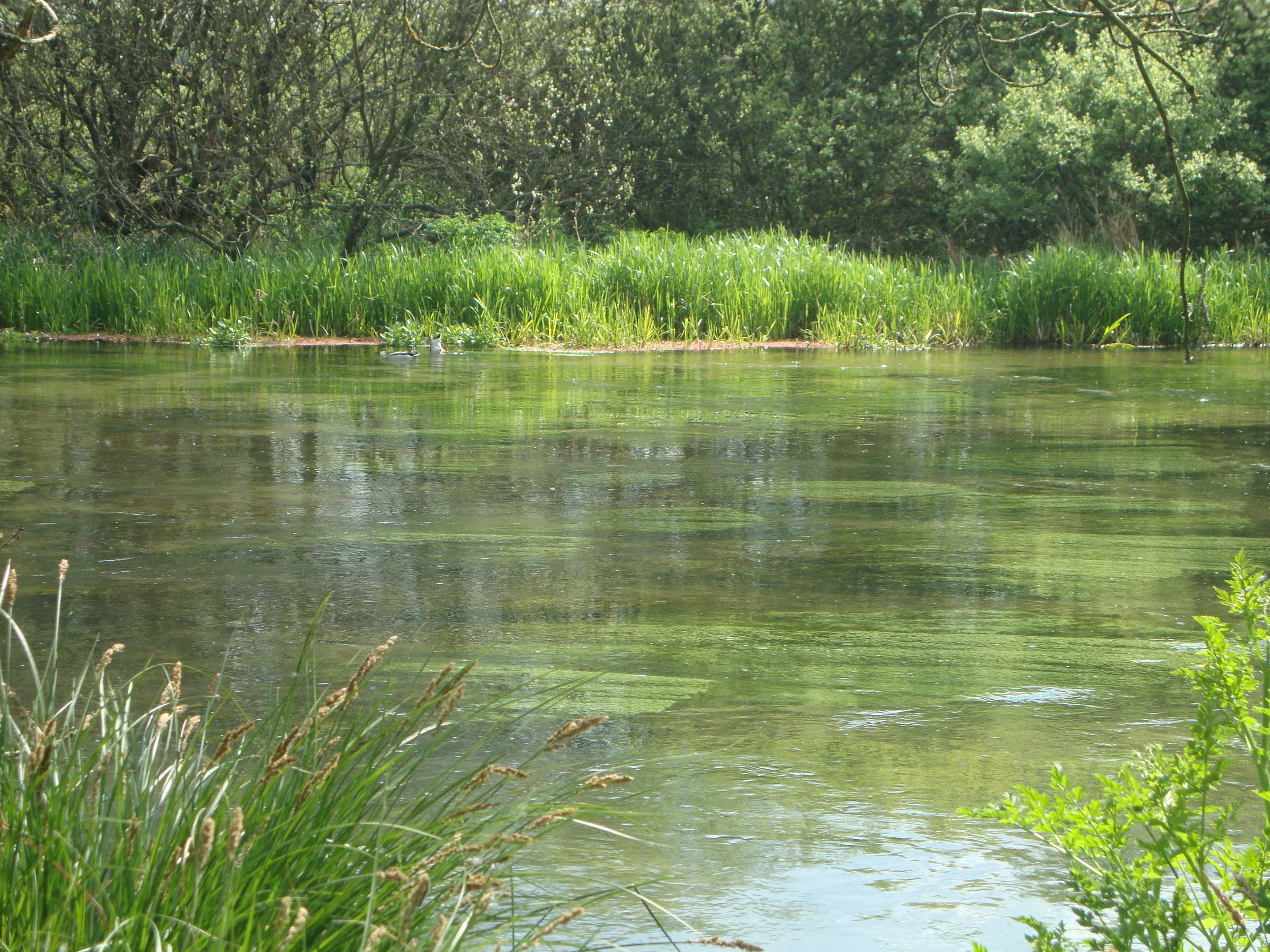 Wonders of Winchester