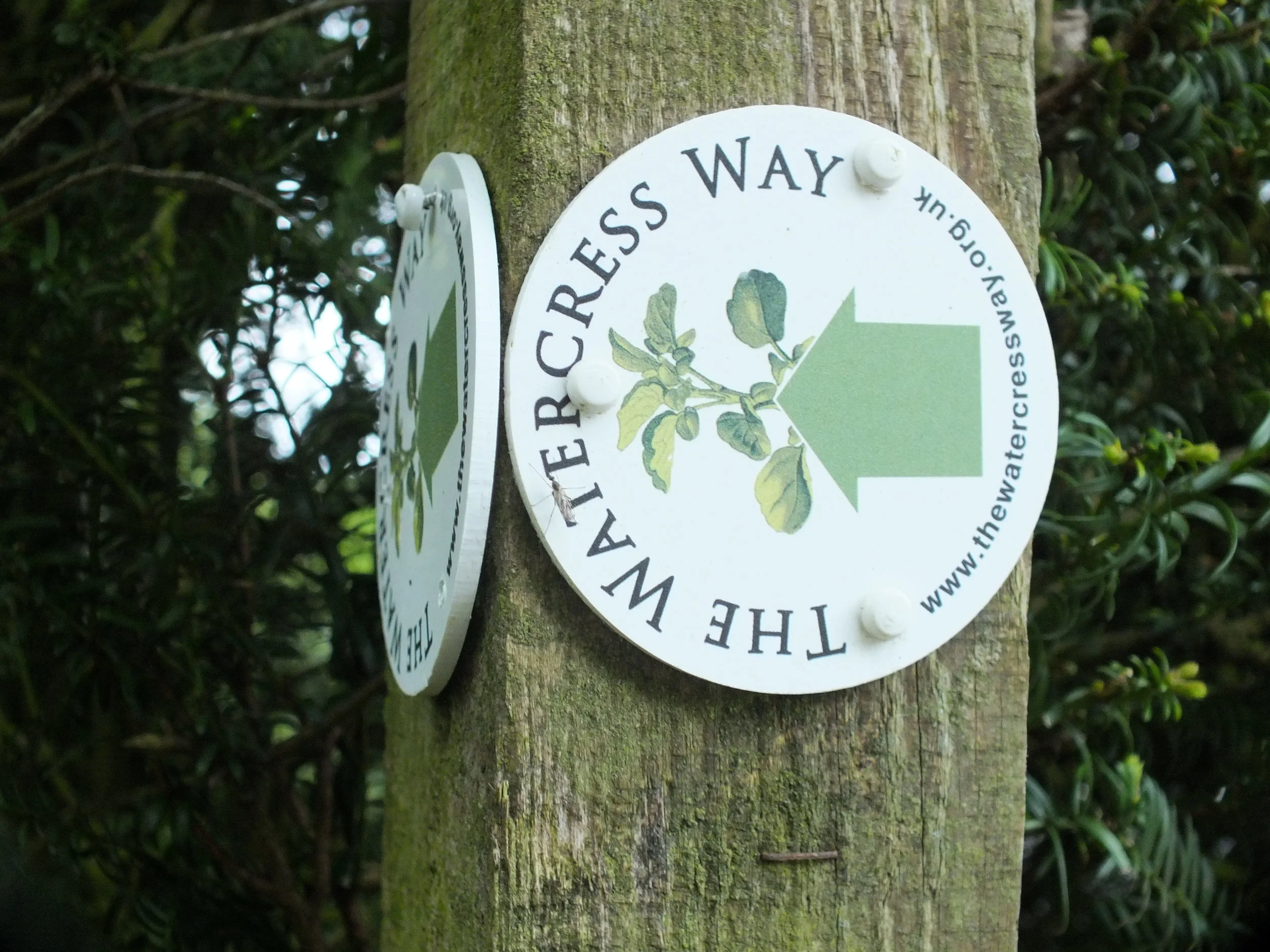 The Watercress Way:  a new path for old routes!