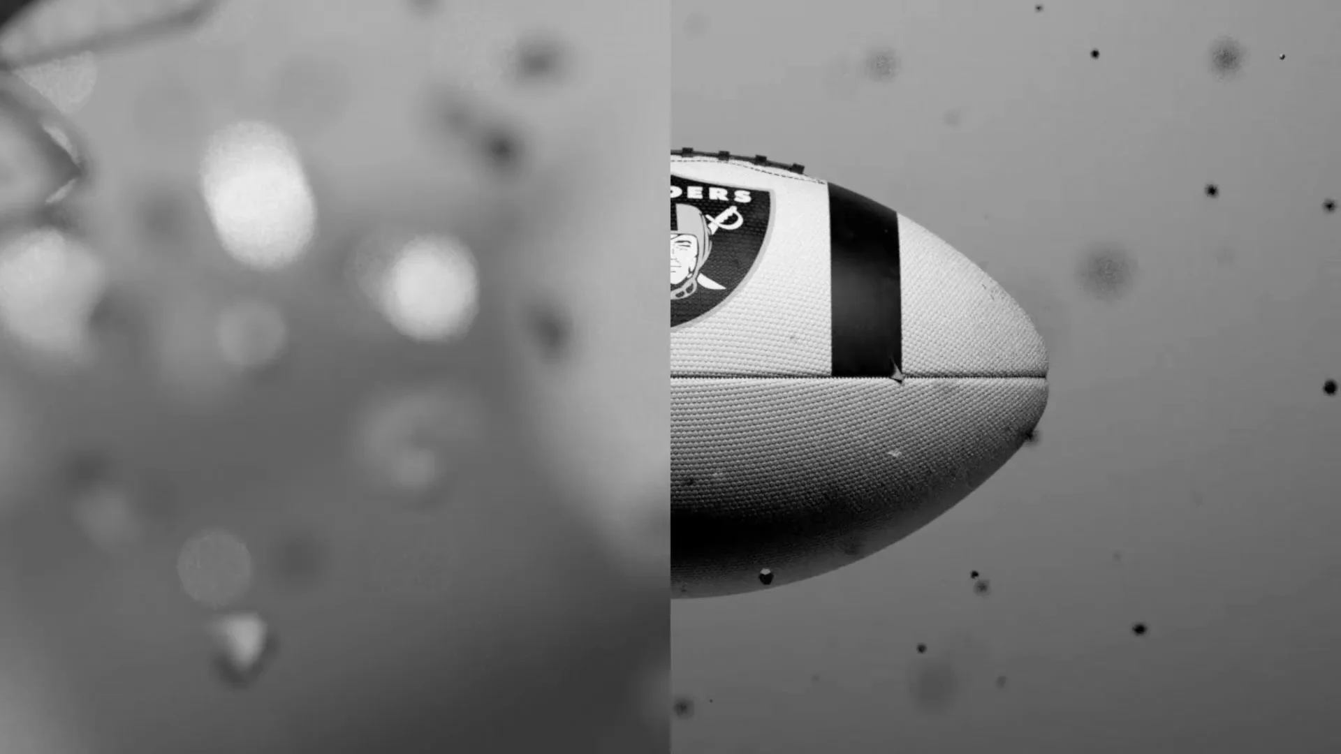 Raiders10.jpg
