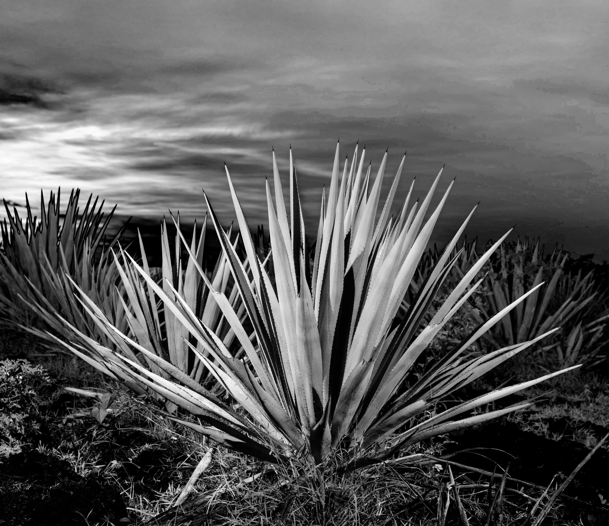AdobeStock_223189250.png