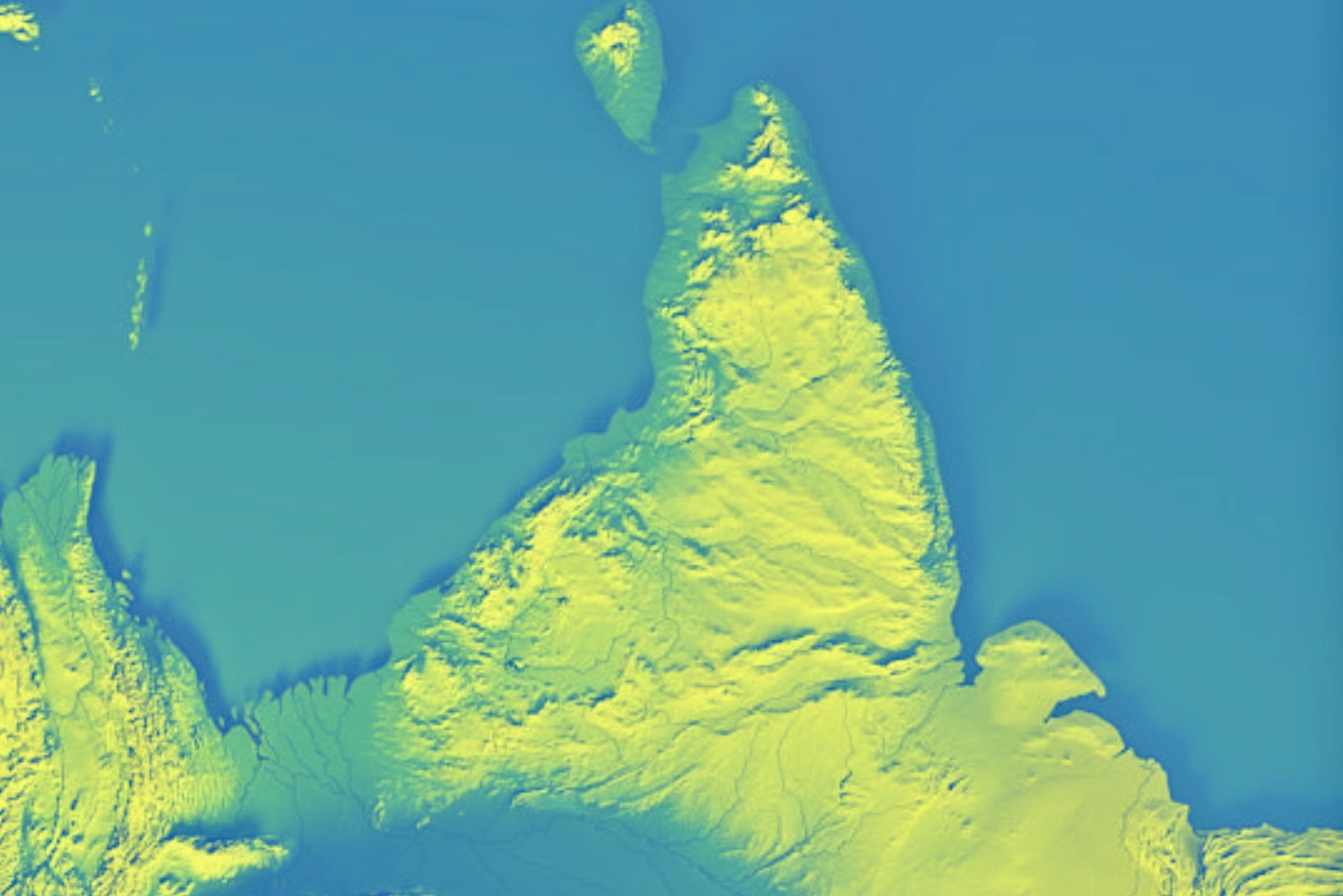 banner image_con resilience.jpg