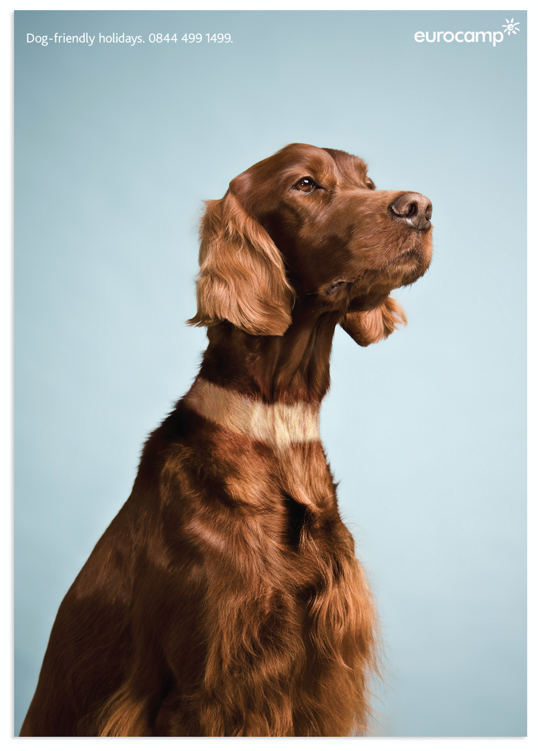 Screen Shot 2018-04-17 at 13.56.34.png