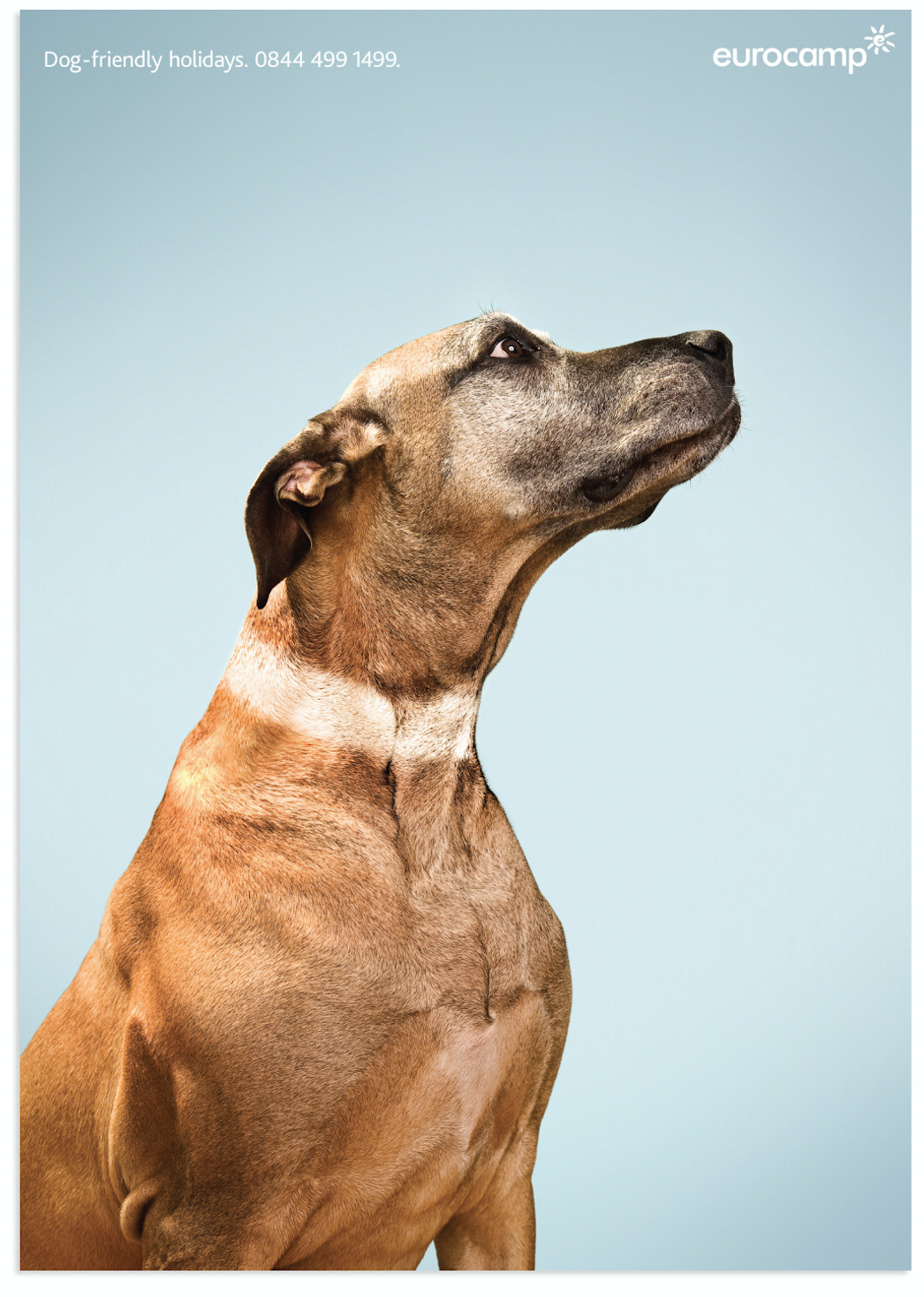 Screen Shot 2018-04-17 at 13.56.24.png