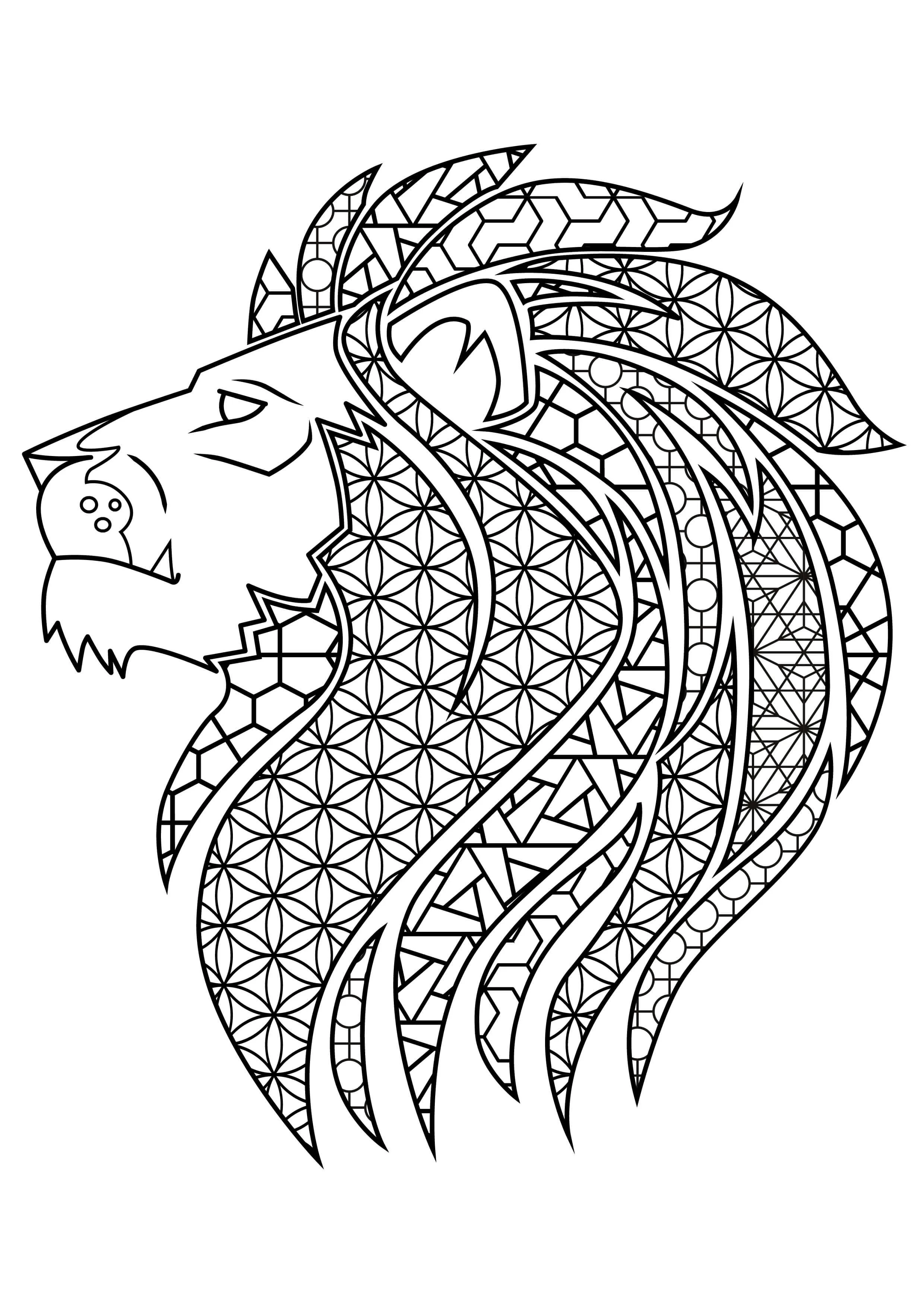adult colouring alt.jpg