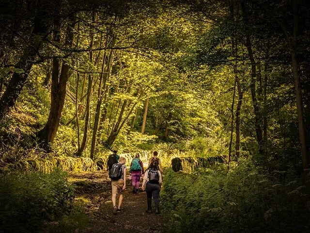 Into the woods
+
+
+
+
#peakdistrict #peakdistrictnationalpark #walks #woodland #visitengland #ukshooters #ukphotographers #uk_shooter #potd #canon #5dmarkiv #adventure #hikersofinstagram #goldenhour #woodland #thegreatoutdoors #photographer #photoof