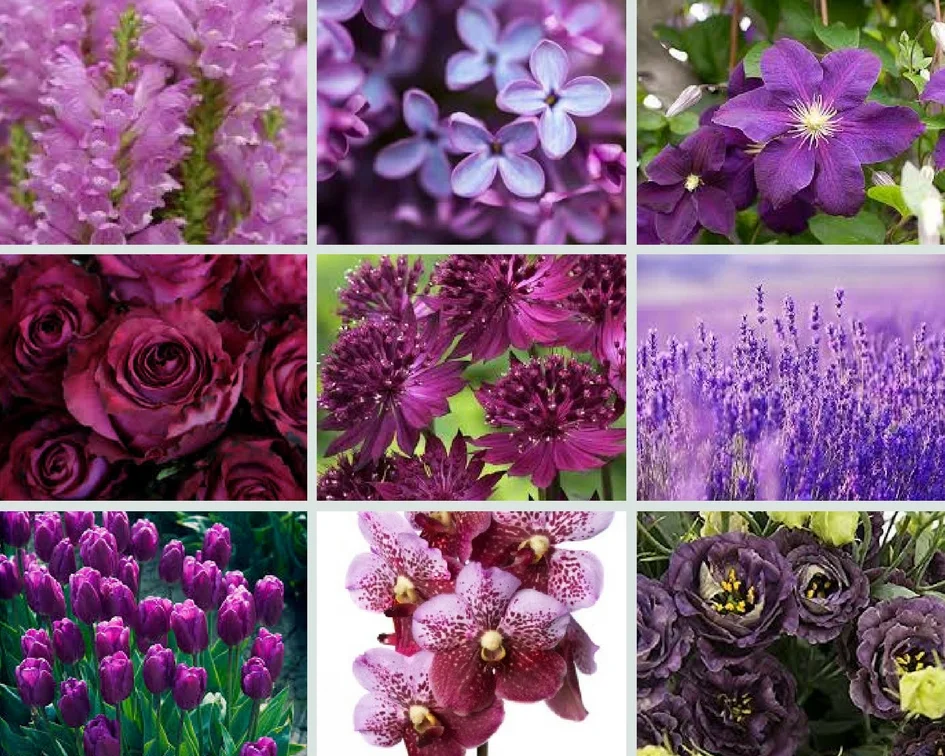 Pantone colour of the year 2018 and wedding flowers