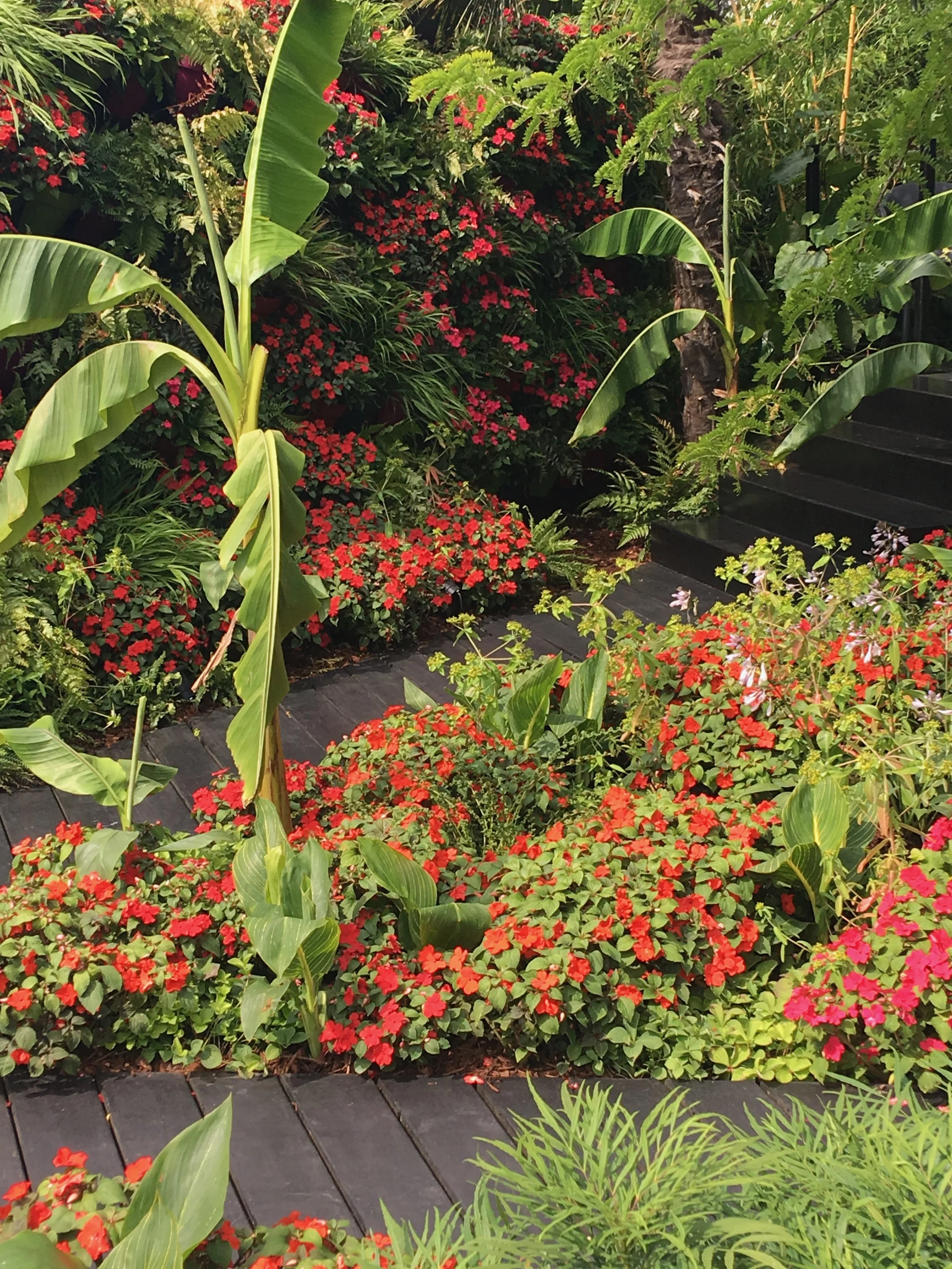 RHS Hampton court flower show 2018