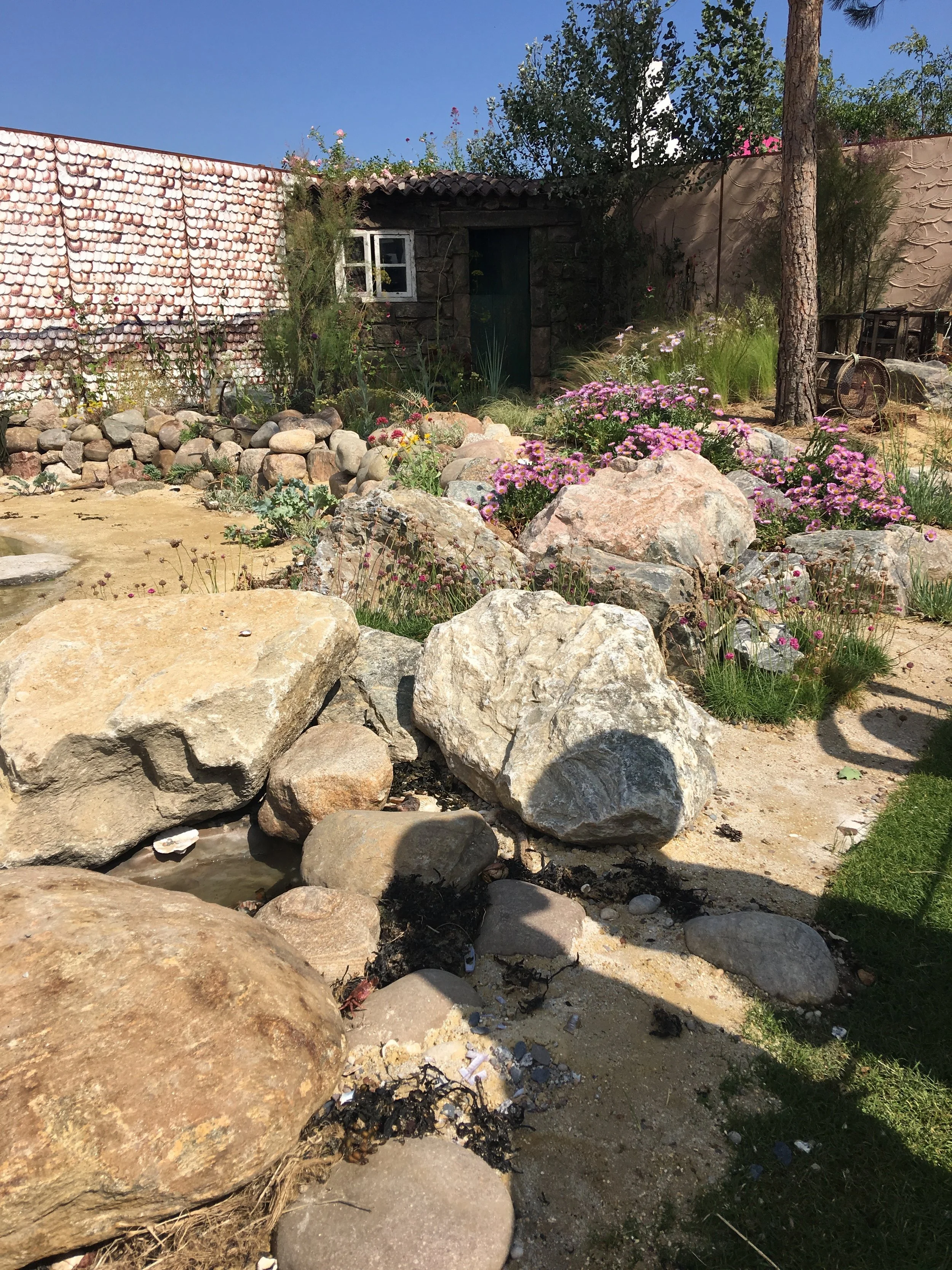 RHS Hampton court flower show 2018