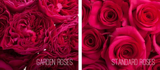 Design Ideas and Real-World Use Cases