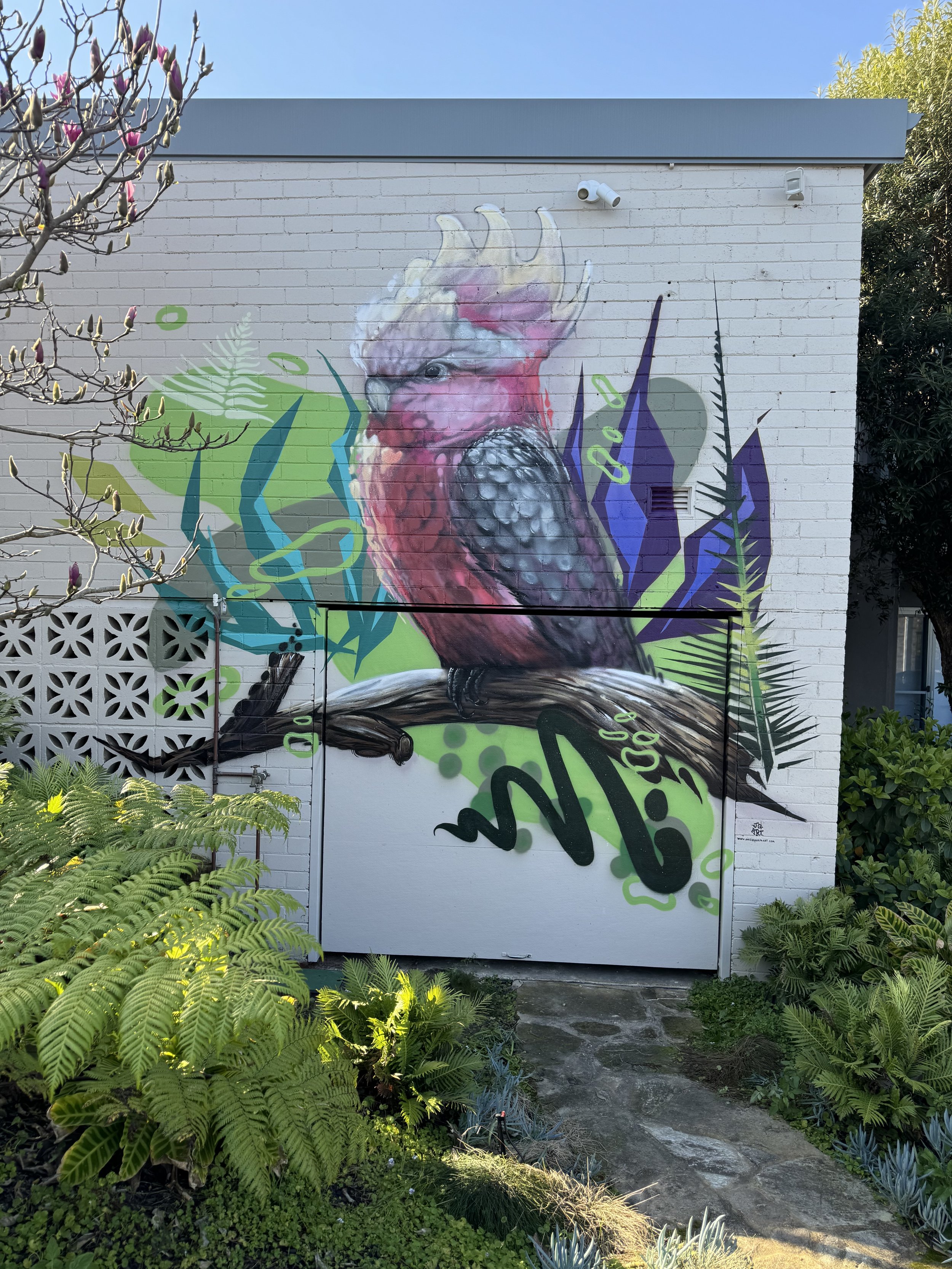 Galah Abstract Mural Private Residence