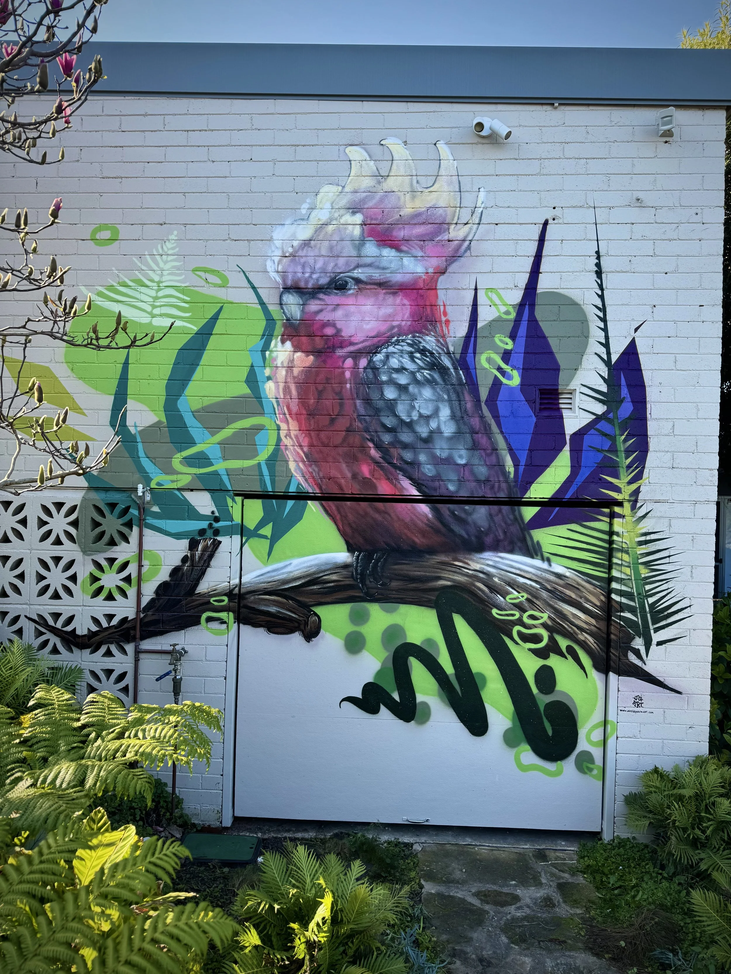 Abstract Galah Mural painted in front-yard of private residence in Greenwich