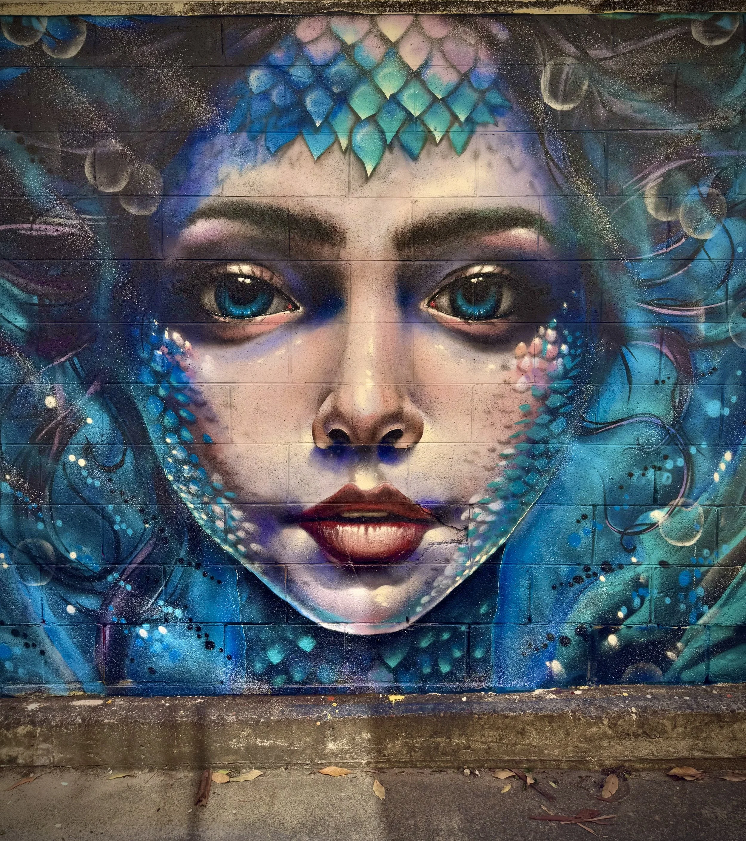 Mermaid Mural painted in Brookvale Sydney