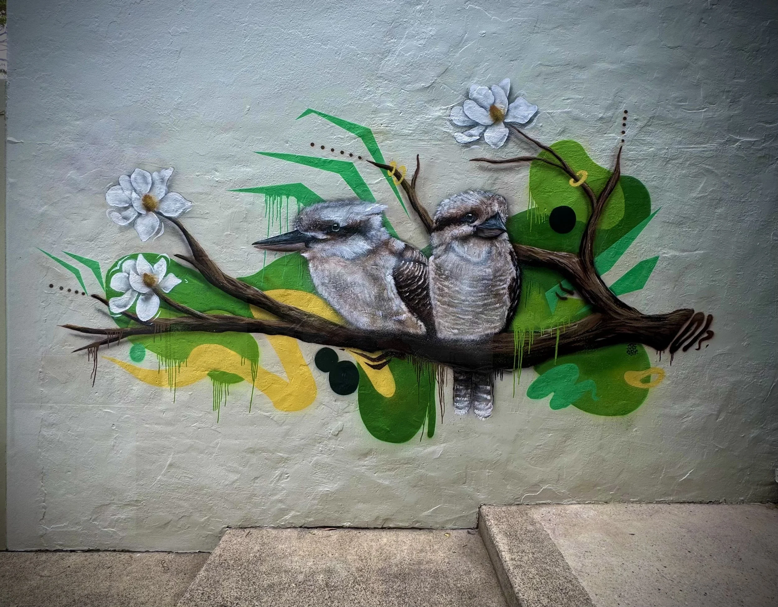 Abstract, Flower, Kookaburra mural painted for private residence in Paddington Sydney.