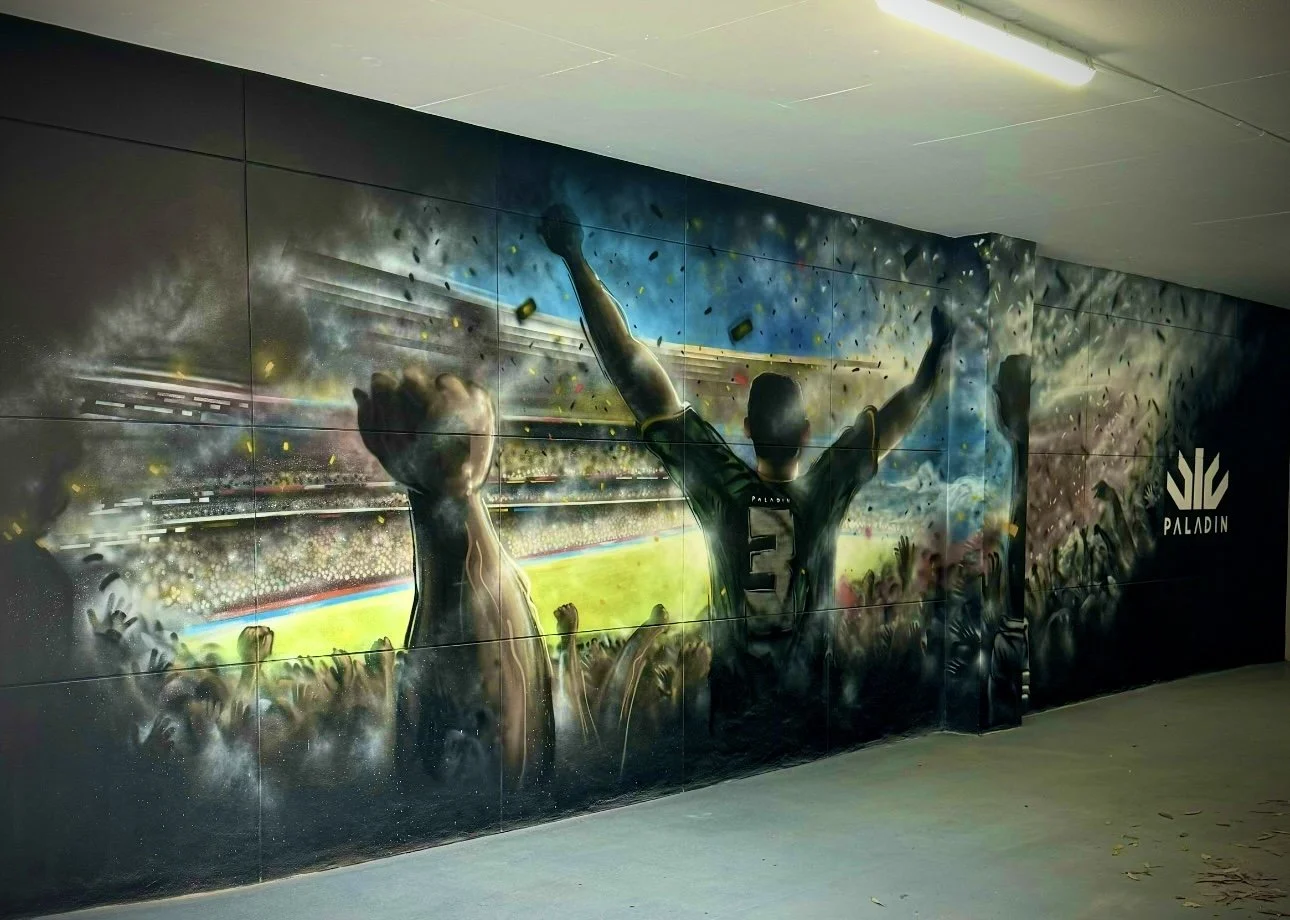 Stadium Mural painted for Paladin Sports in Brookvale Sydney.