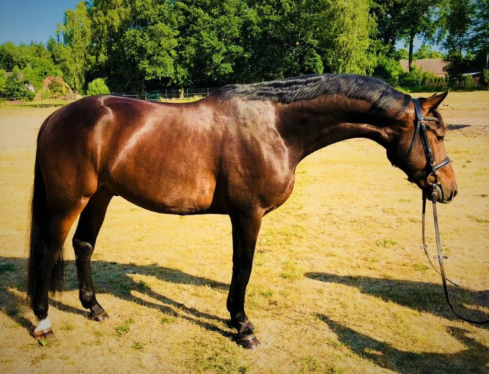 June 2018