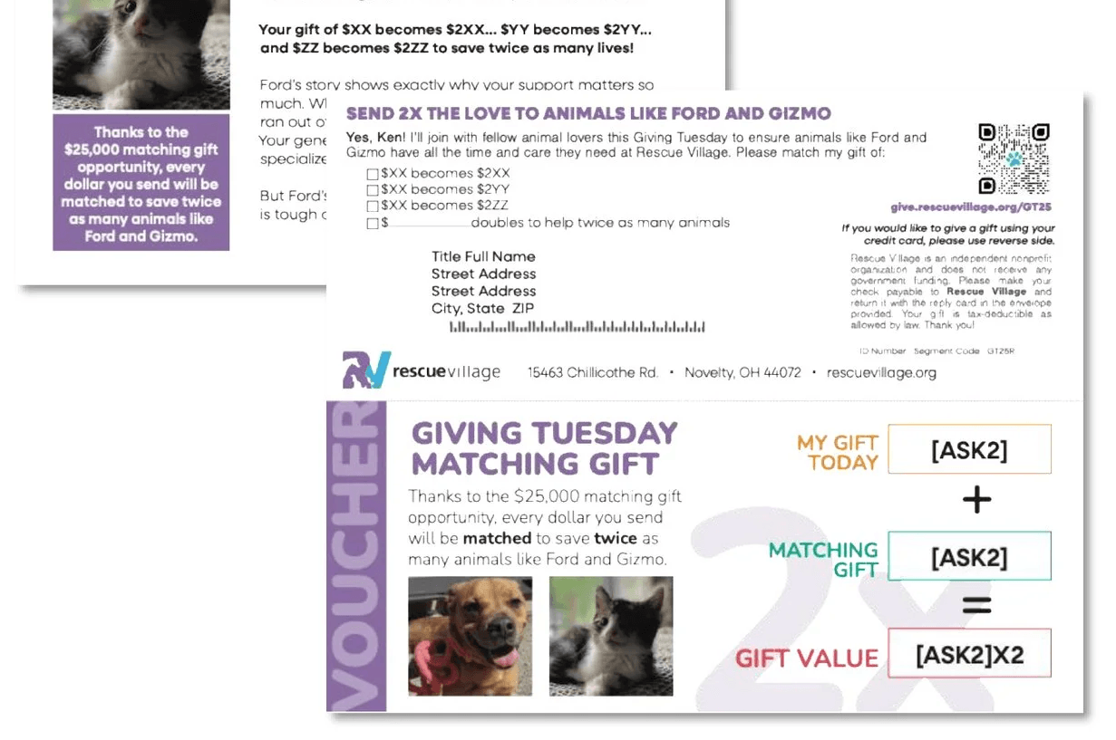 Appeal for a Giving Tuesday matching gift campaign, created by Meyer Partners as part of our nonprofit campaign strategy services