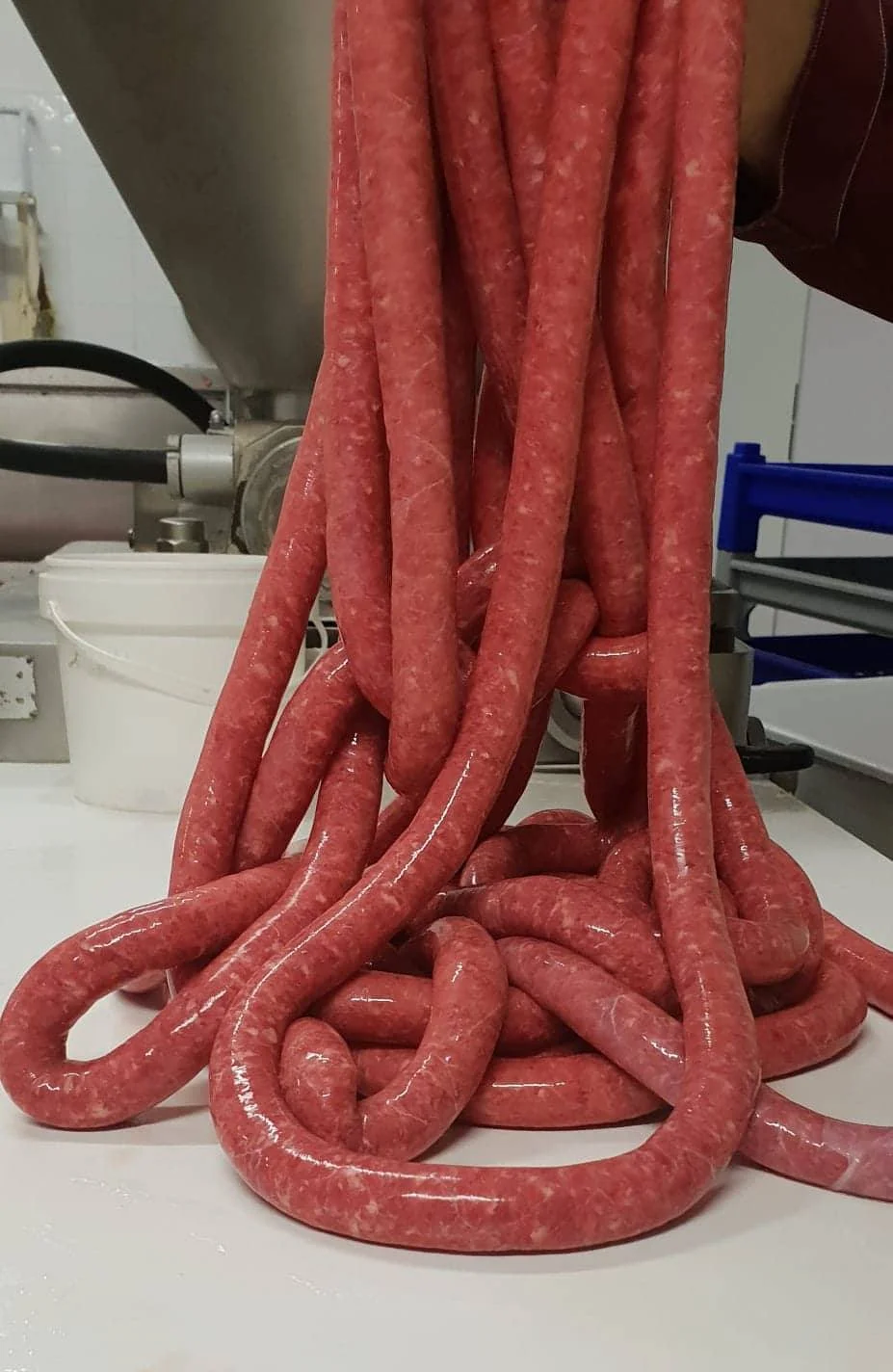salsiccia di bra salumificio .jpg