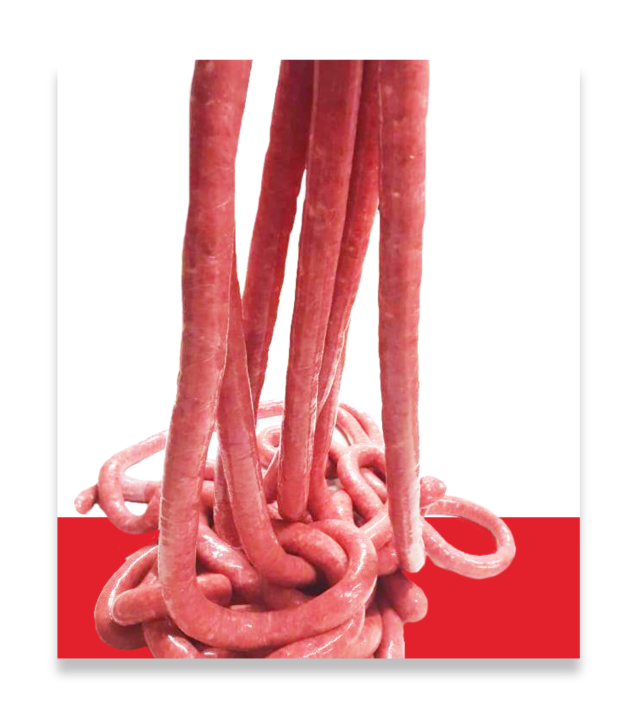 salumi spaienza produzione vendita all ingrosso supermercati alimentari supermarket grandi catene bar catering salsiccia di bra per ristoranti ingrosso salumi cuneo torino piemonte .png