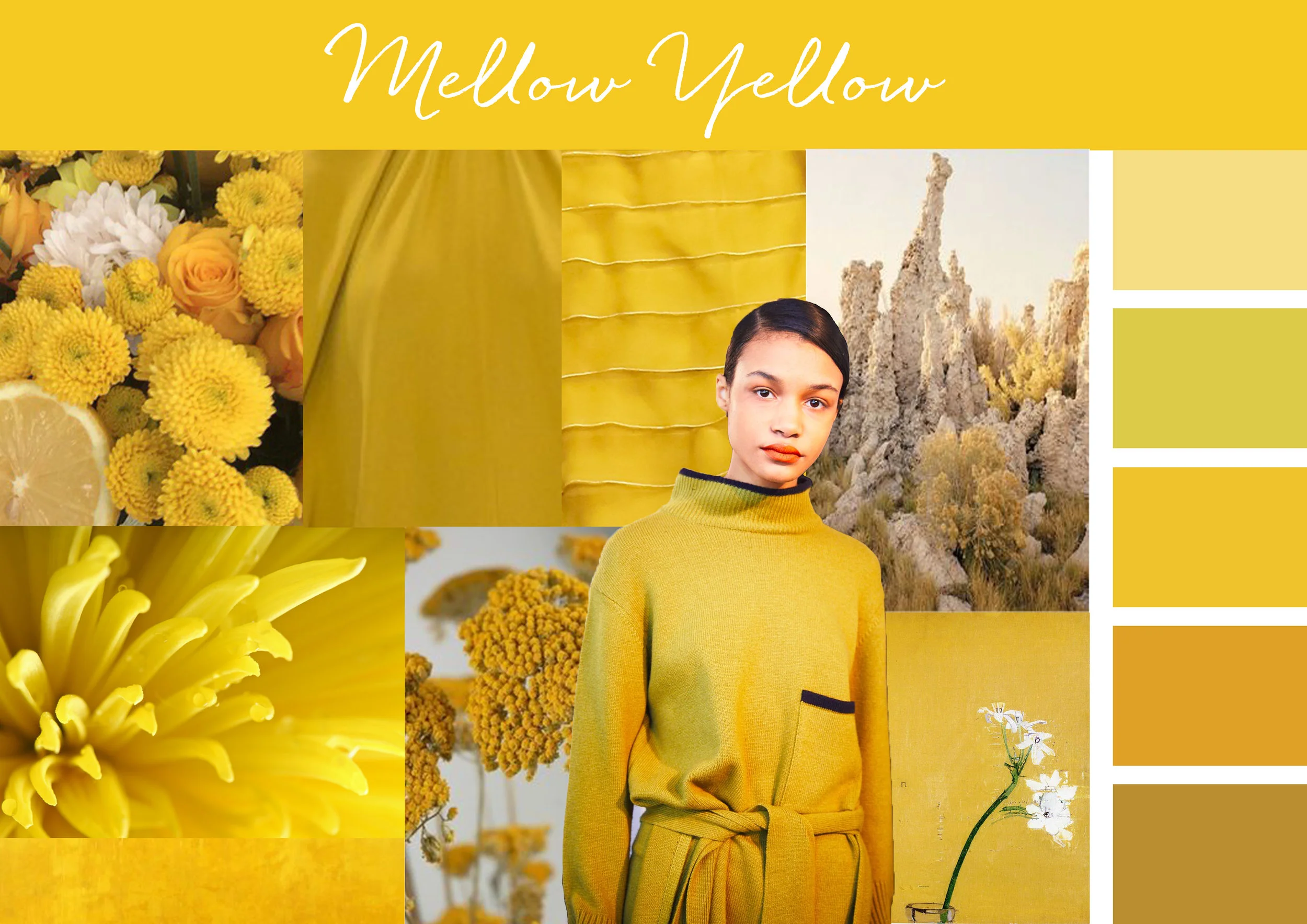 Mellow Yellow Simplified.jpg