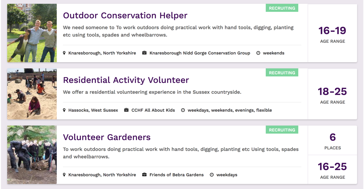 Some of vInspired's volunteering opportunities