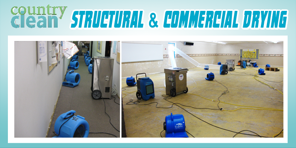 New Services commercial drying.png