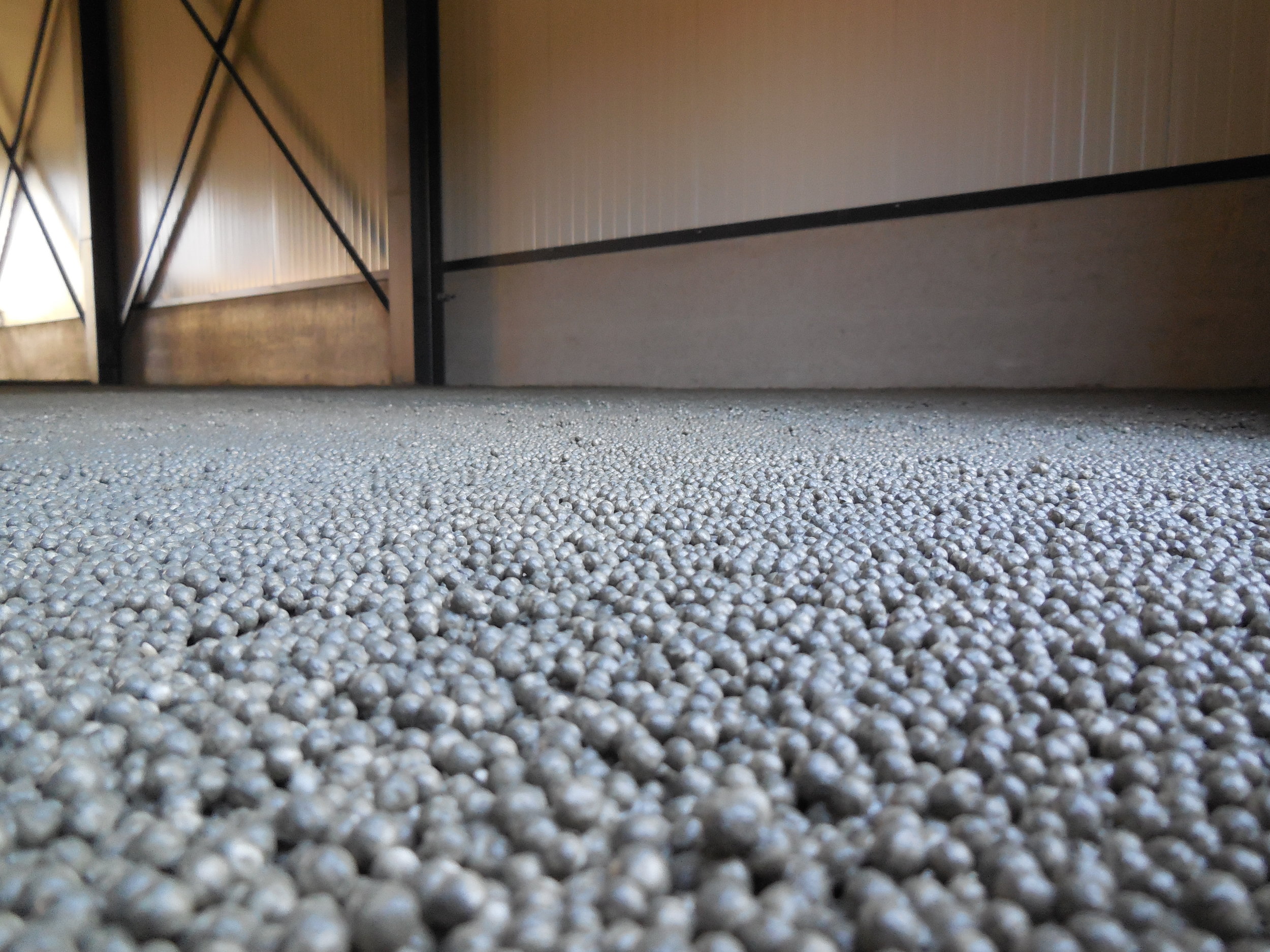 nikon tot jan2018 091.JPG