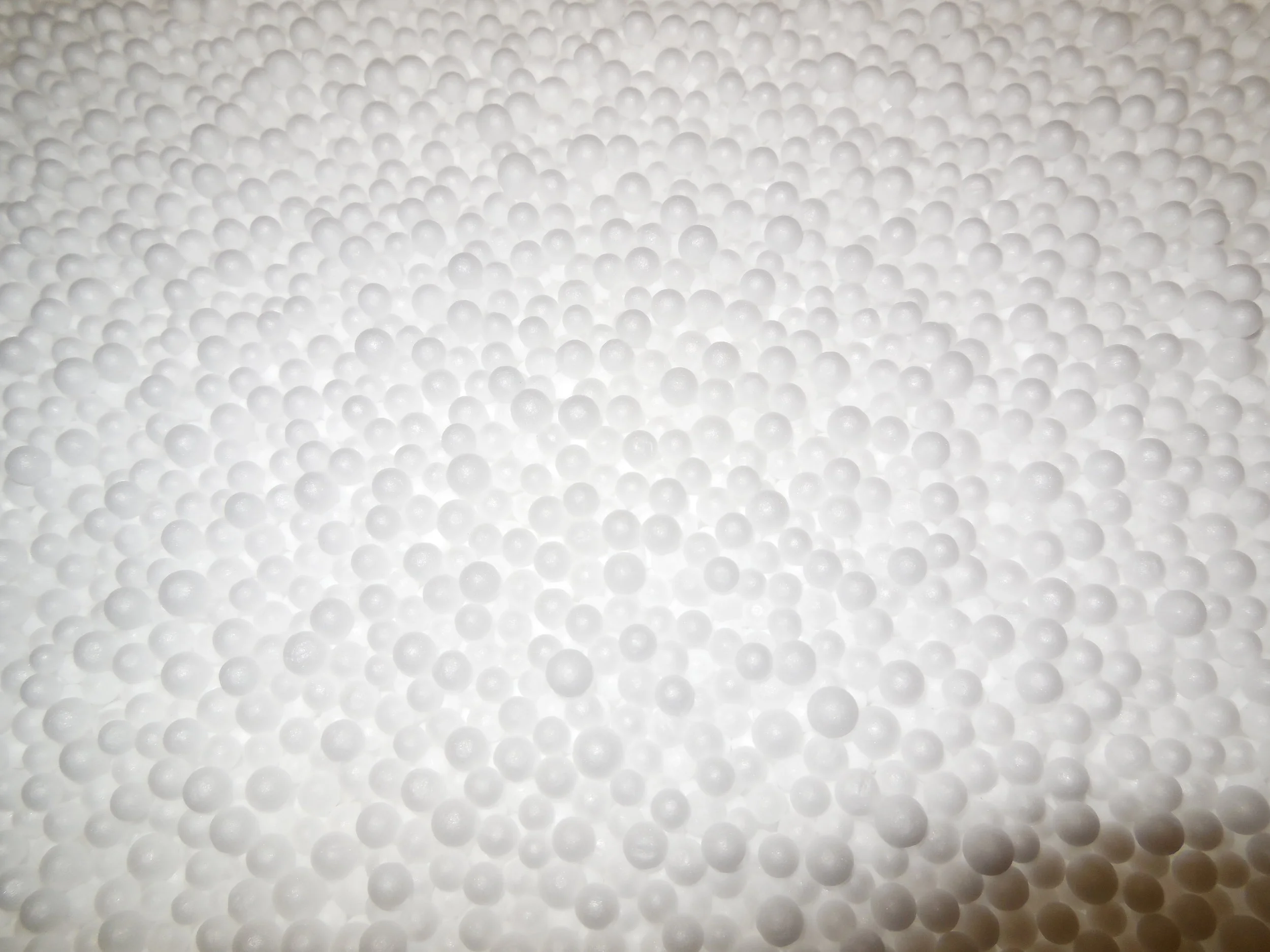 nikon tot jan2018 131.JPG