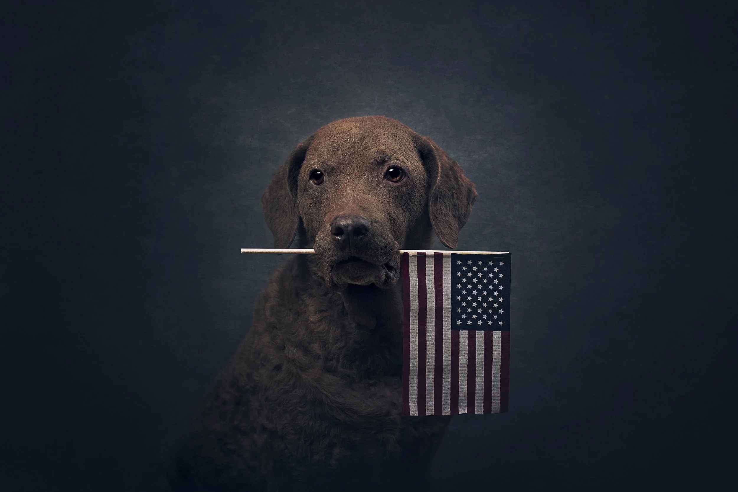 Getting Our Red, White & Blue On
