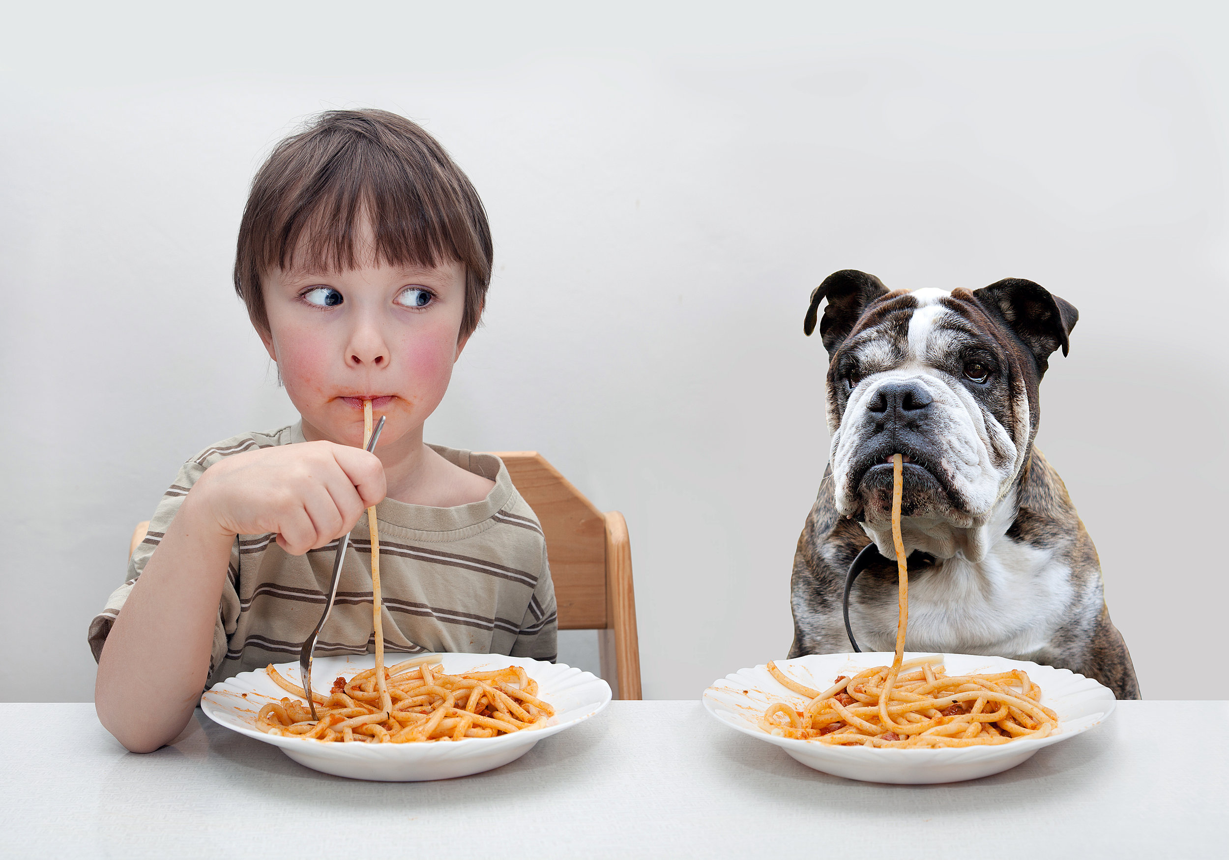 What your pet eat. Животные с человеческой едой. Еда для собак для детей. Еда с собакой и человеком. Реклама собачьей еды.