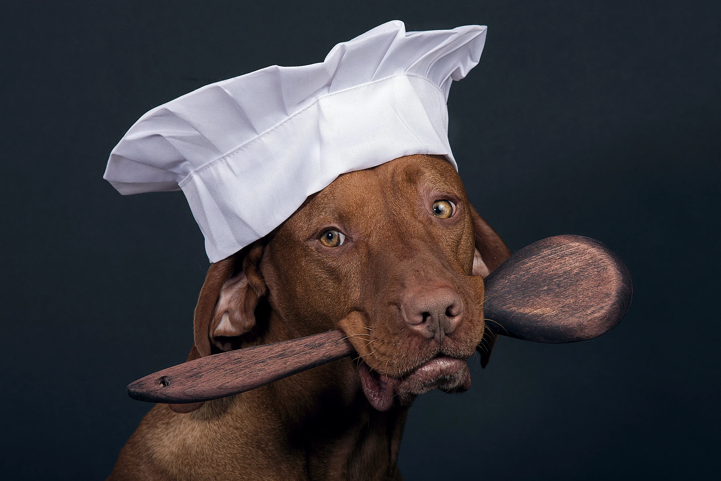 Home Made Natural Dog Treats Your Pooch Will Love