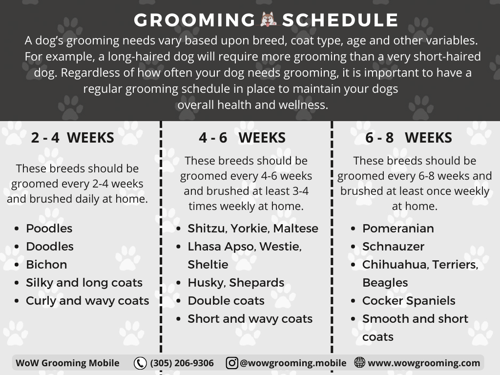 Grooming Flowchart Dog Grooming: It’s Not Just for Poodles! — Wow Grooming Pet Mobile