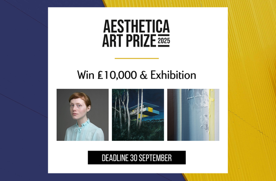 The Aesthetica Art Prize is Open for Entries