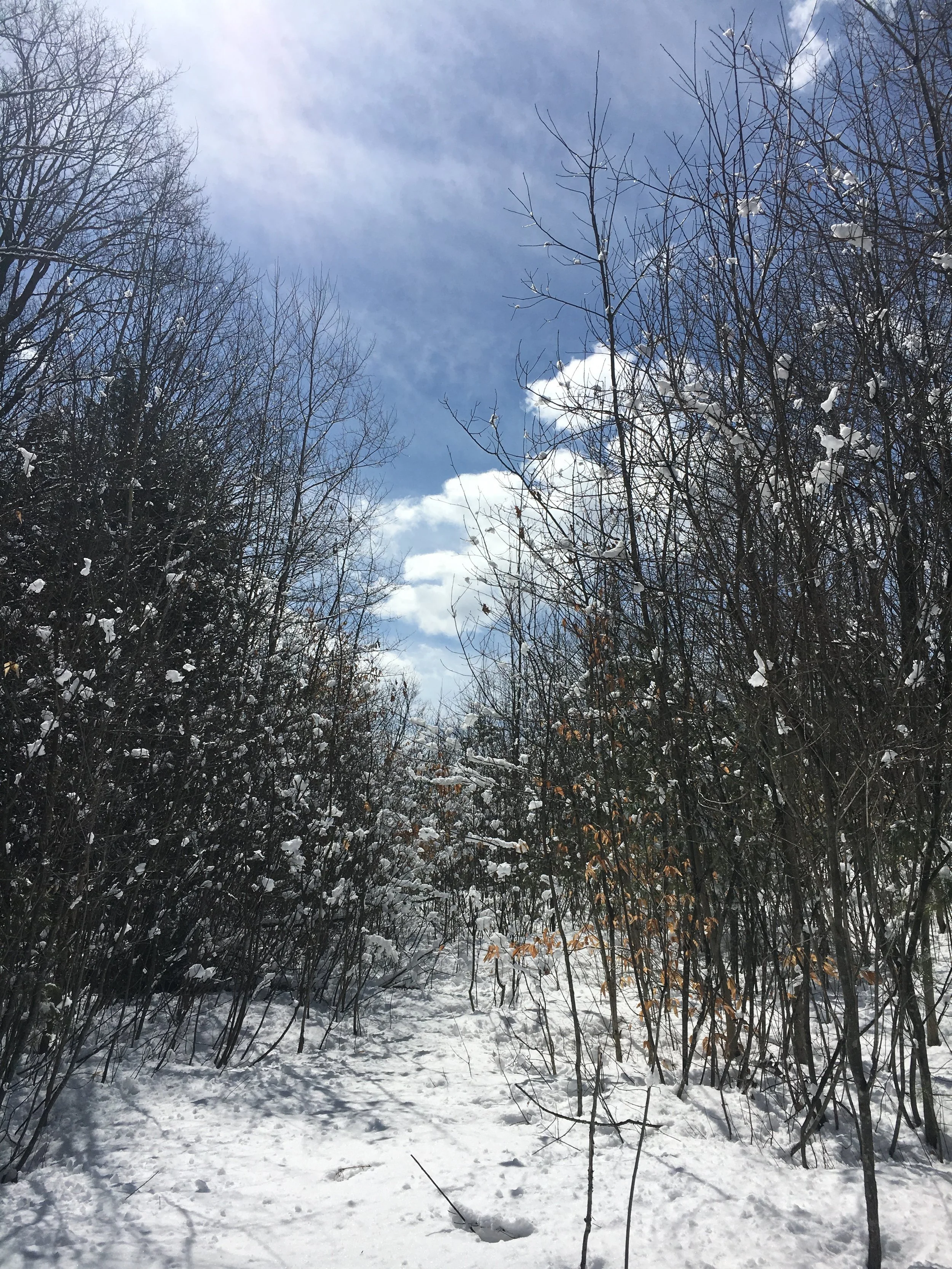 2 breathtaking sky and light in backyard path.jpg