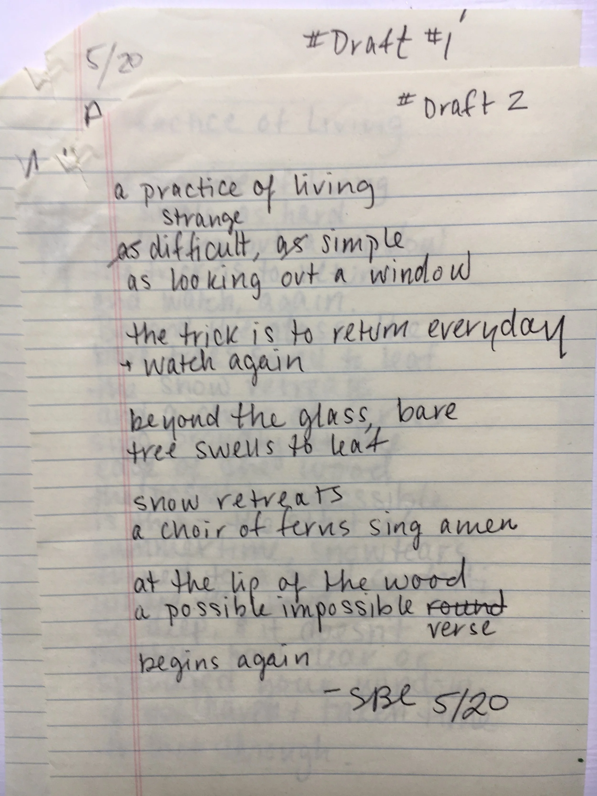 michael chaney and sara chaney poem month of sundays draft a practice of living strange.jpg