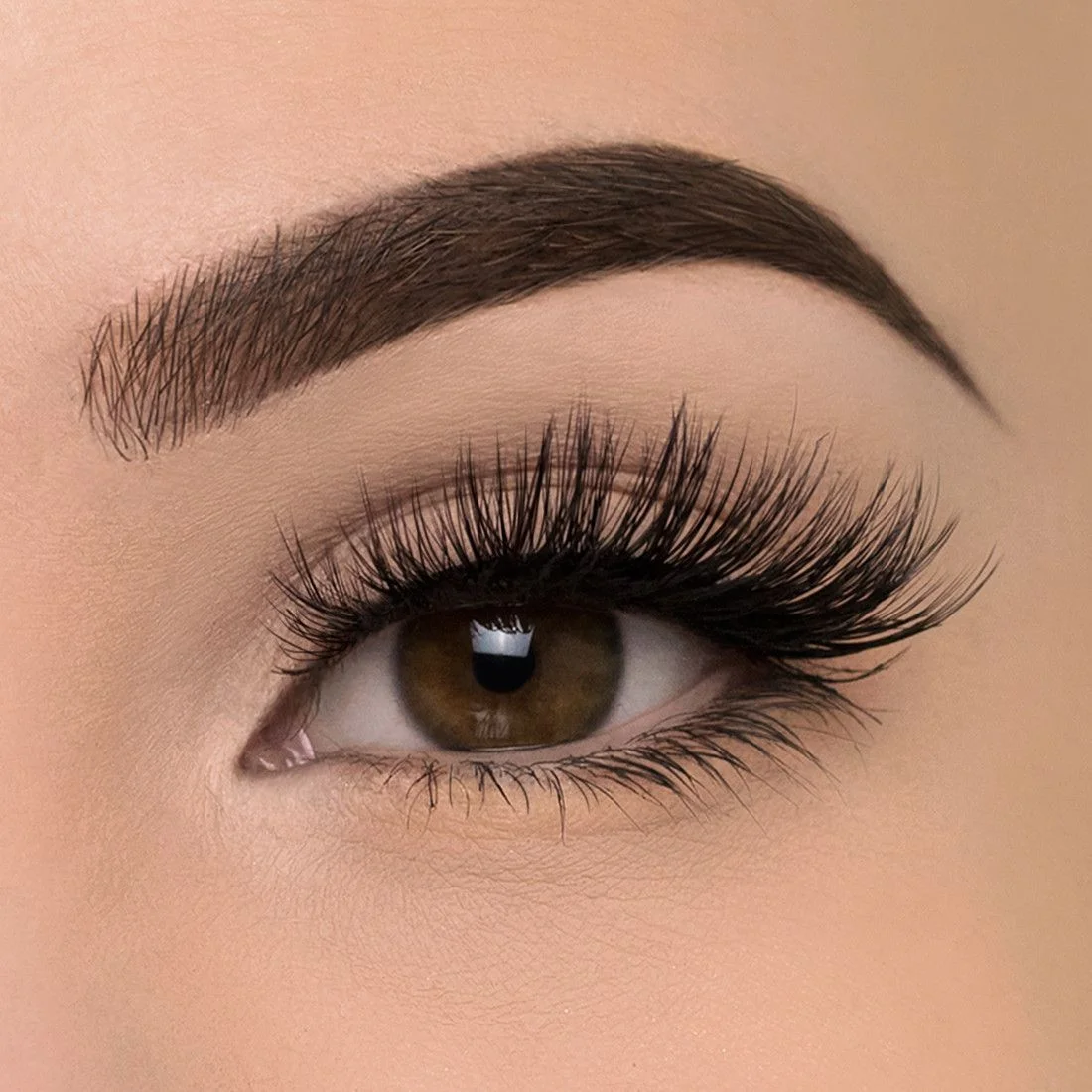 lash.jpg