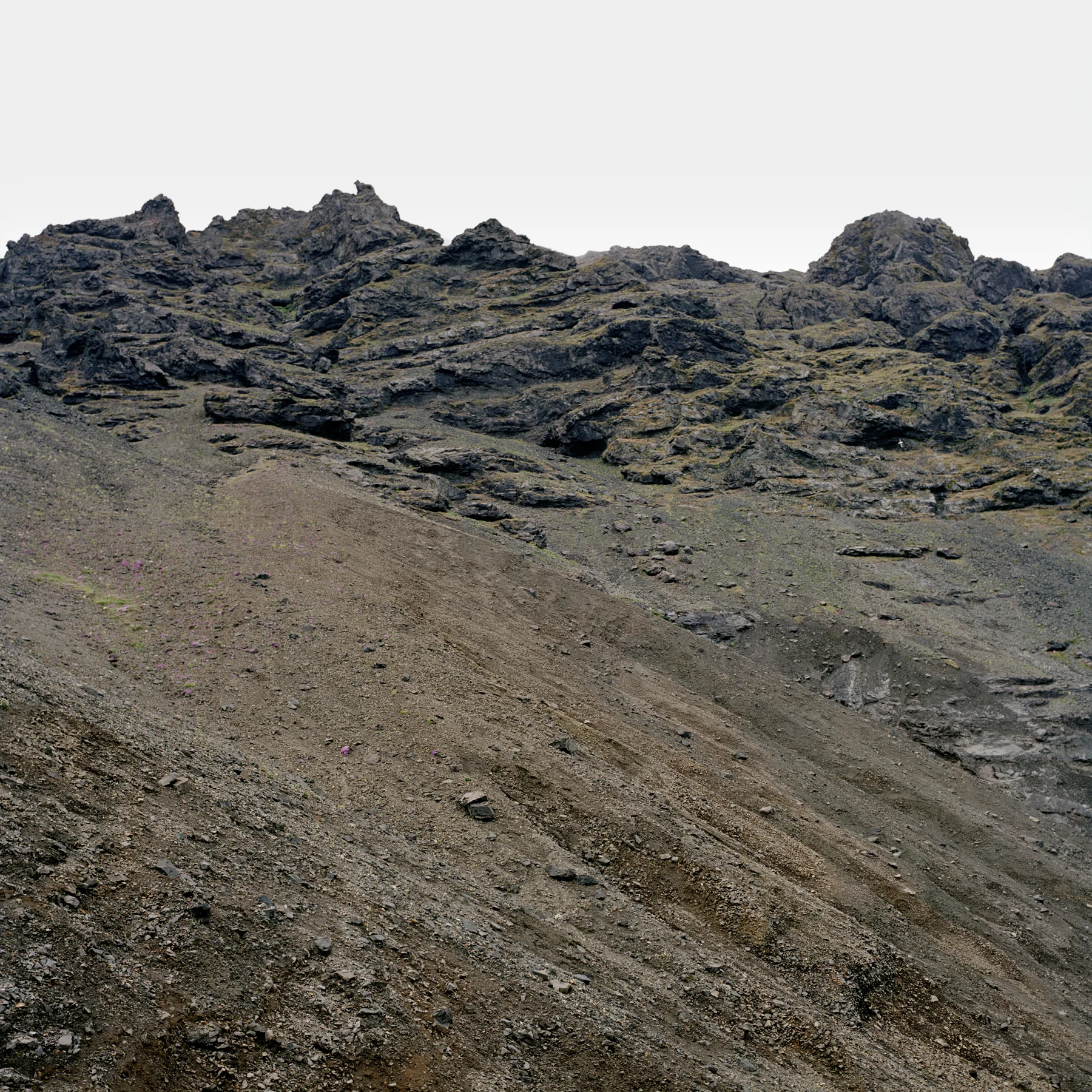 03_10 001 AUSSCHNITT 29.jpg