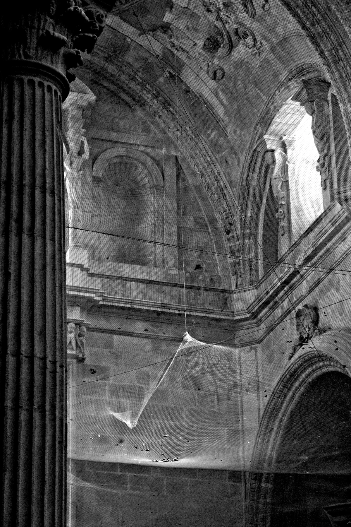 P5241193KORN Kopie.jpg