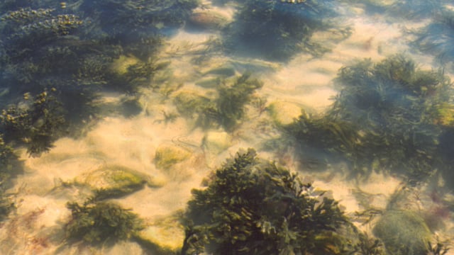 Wasserfest #02, 2003
