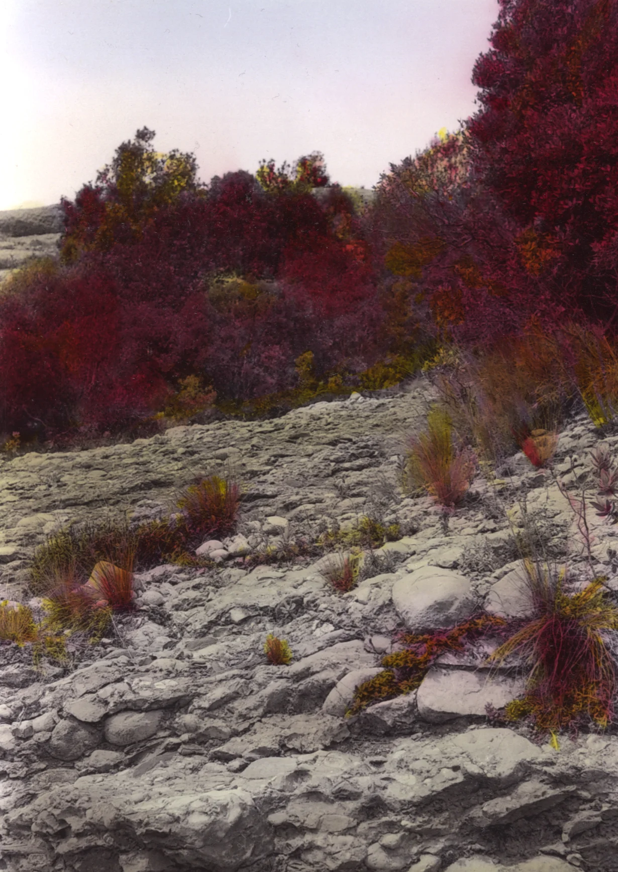 saw_mountain_09.jpg