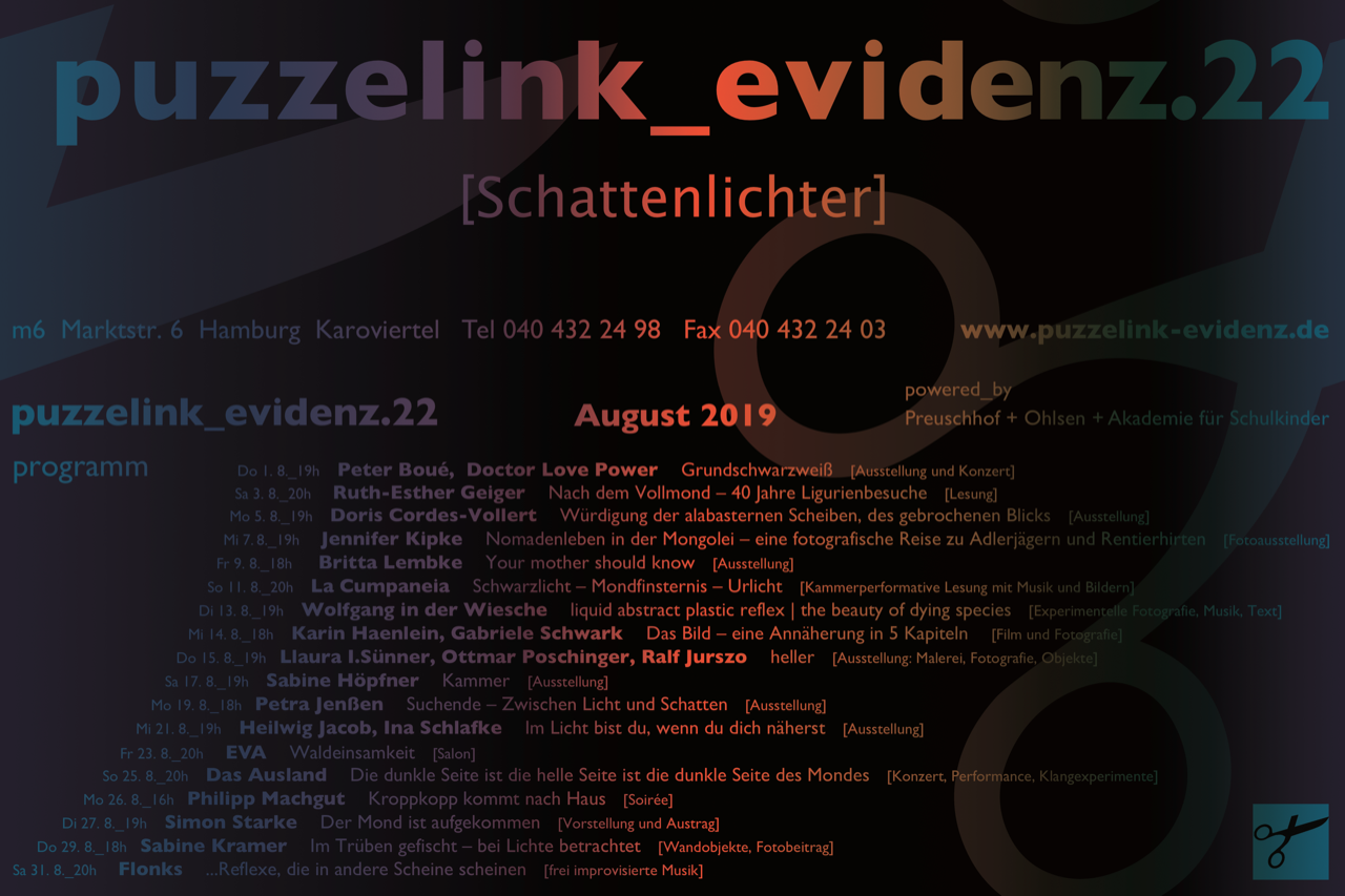 PUZZELINK SCHATTENLICHTER.jpg