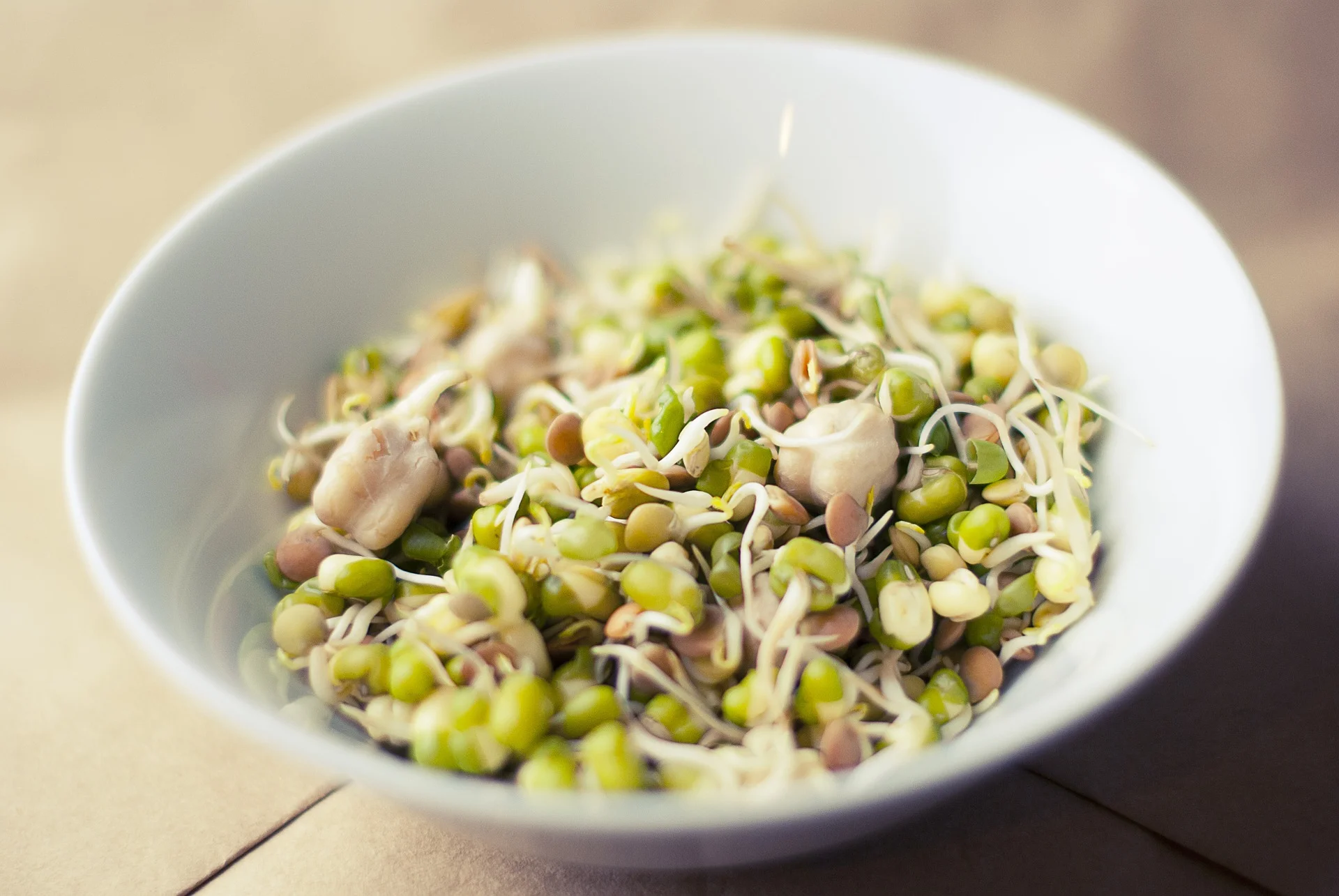 soybean-933026_1920.jpg