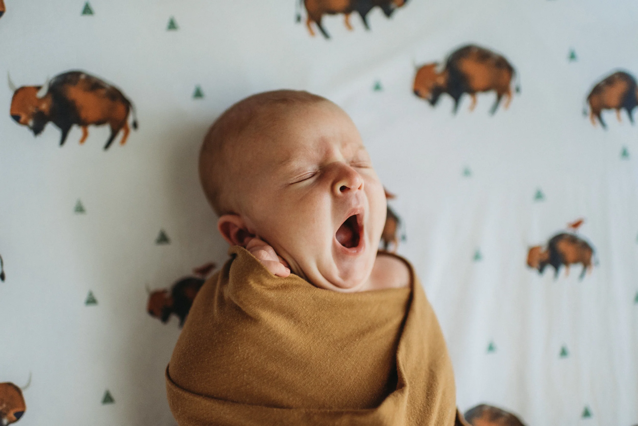 Central Texas Newborn and Family Lifestyle Photographer