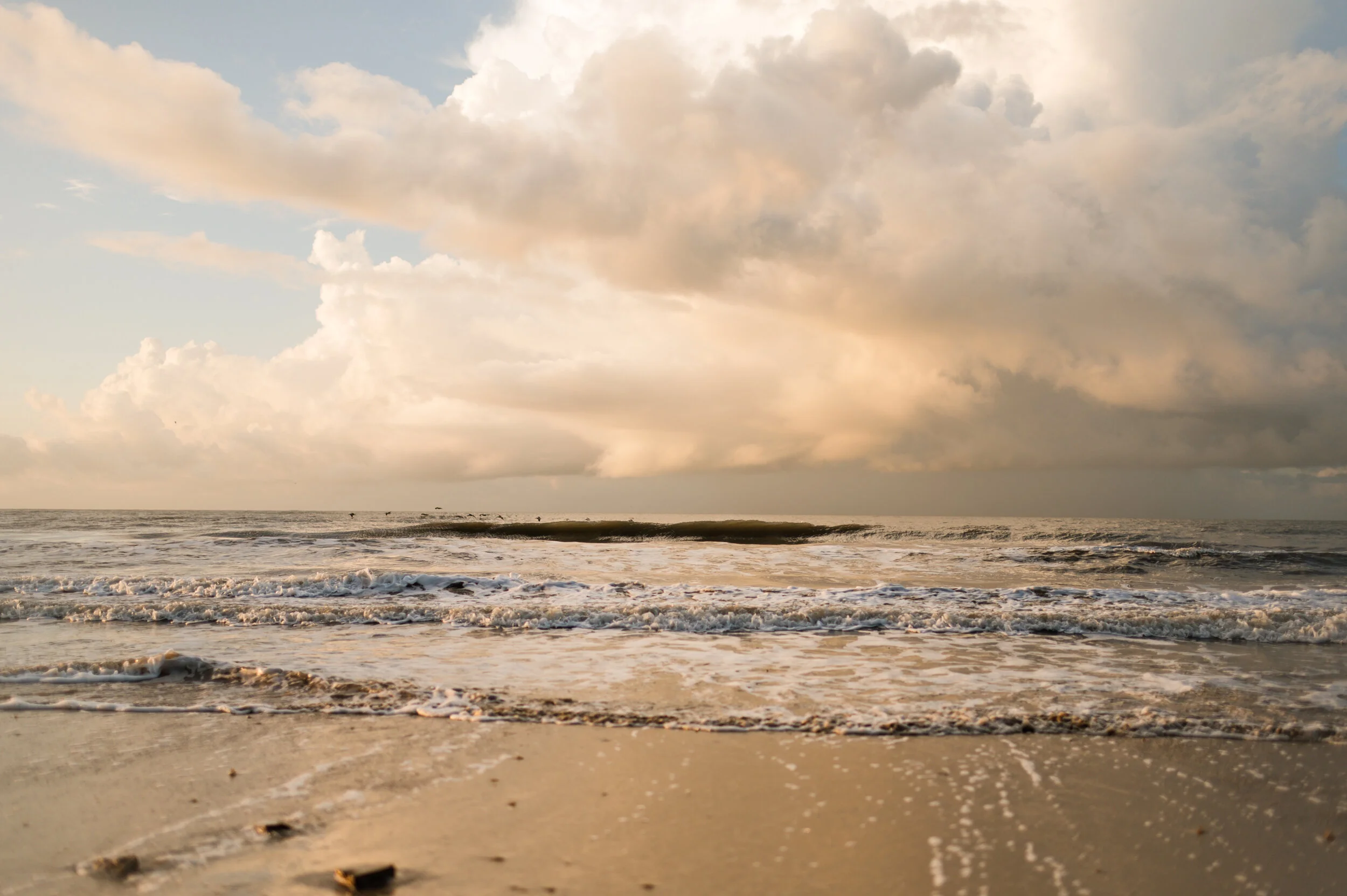 beach-4125.jpg