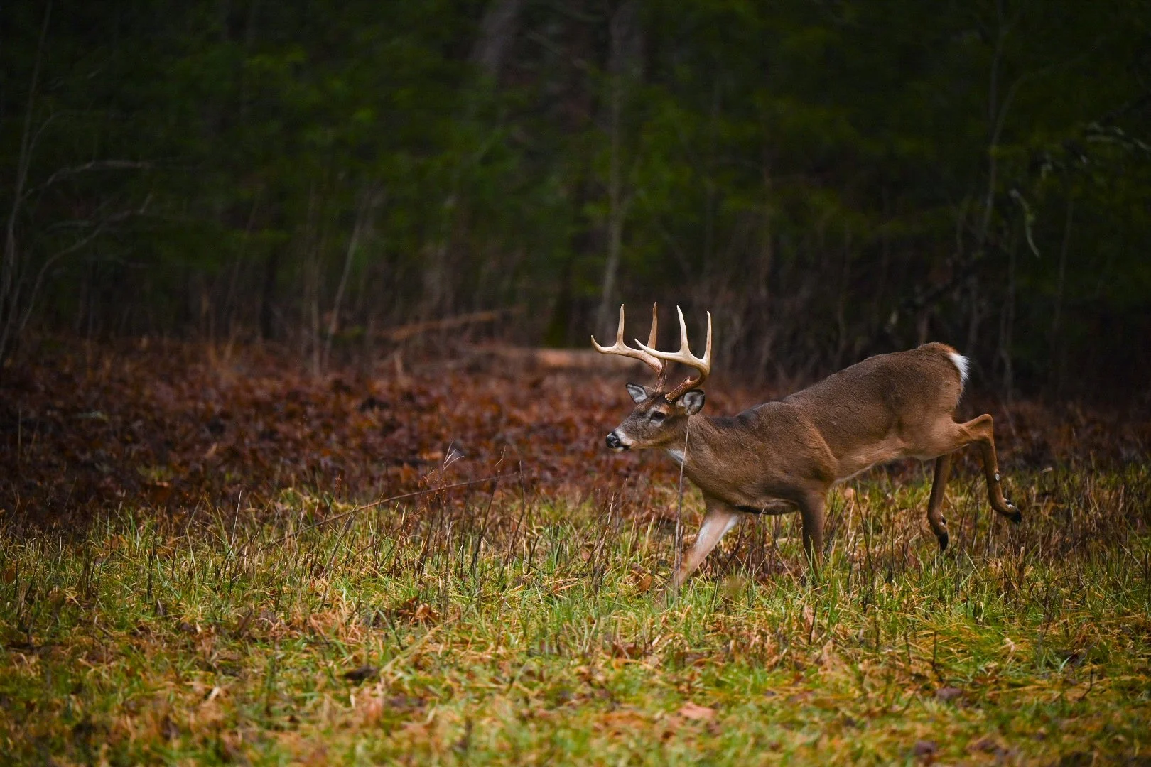 2025-02-09_09-35-57_720 (2025-03-11T19_39_46.762).jpeg