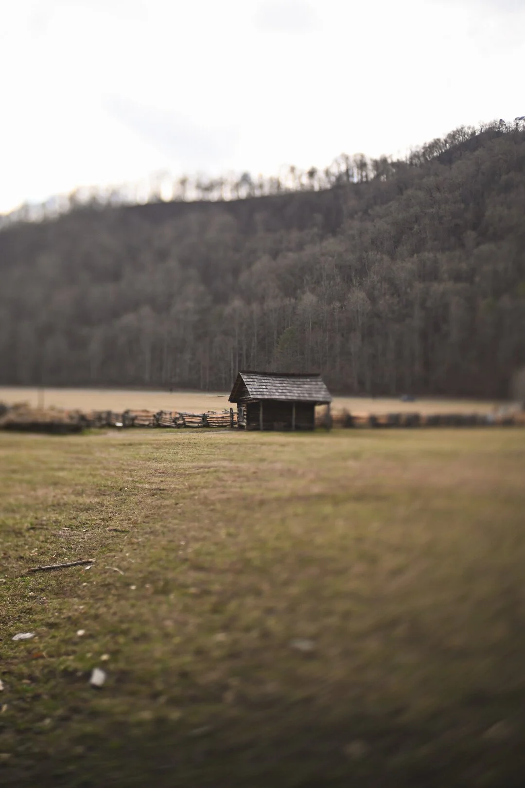 2025-02-08_13-54-47_010 (2025-03-12T02_27_25.898).jpeg