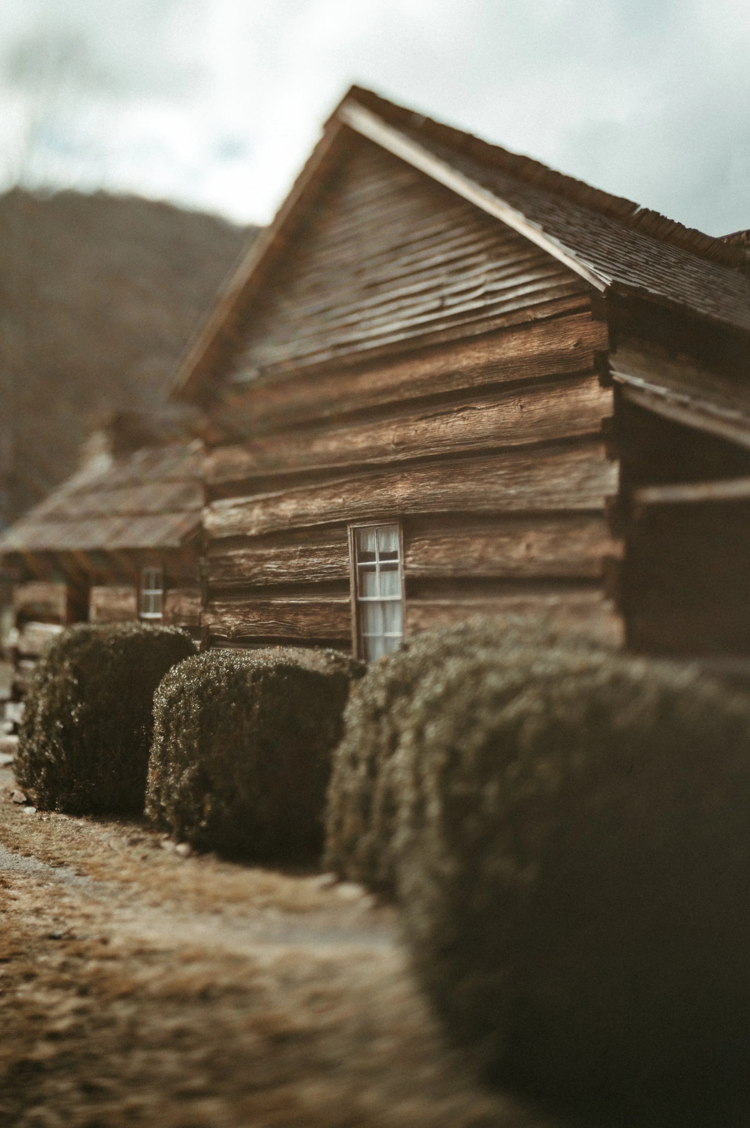 2025-02-08_13-56-25_870 (2025-03-12T02_27_53.569).jpeg