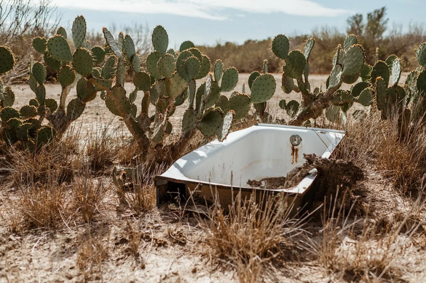 Found a random bathtub in the middle of the ranch. Kinda loved it. Always a fan when nature meets man made in unexpected ways. #texasthroughherlens